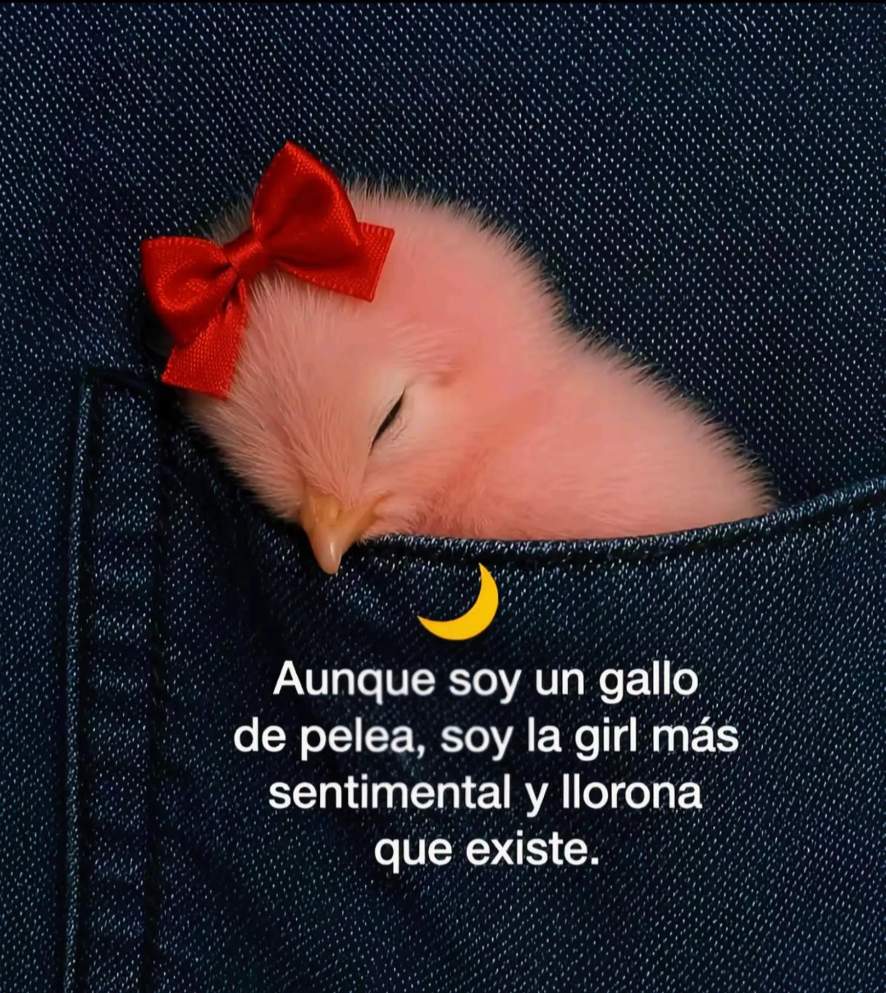 @Lizbeth Gonz&aacute;lez