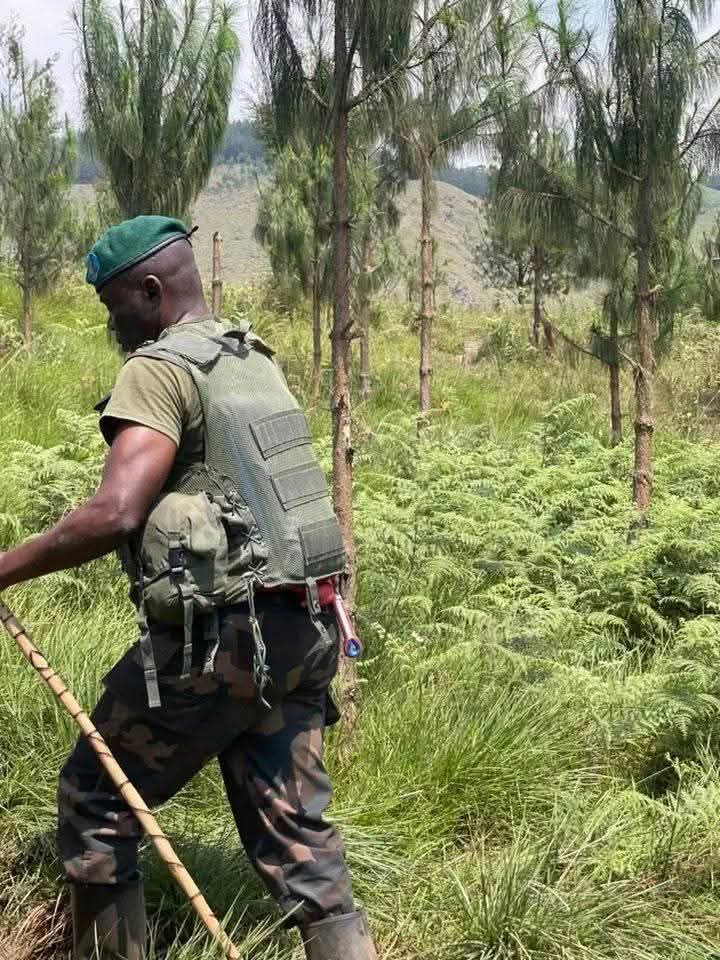 @Echoes of Congo🇨🇩