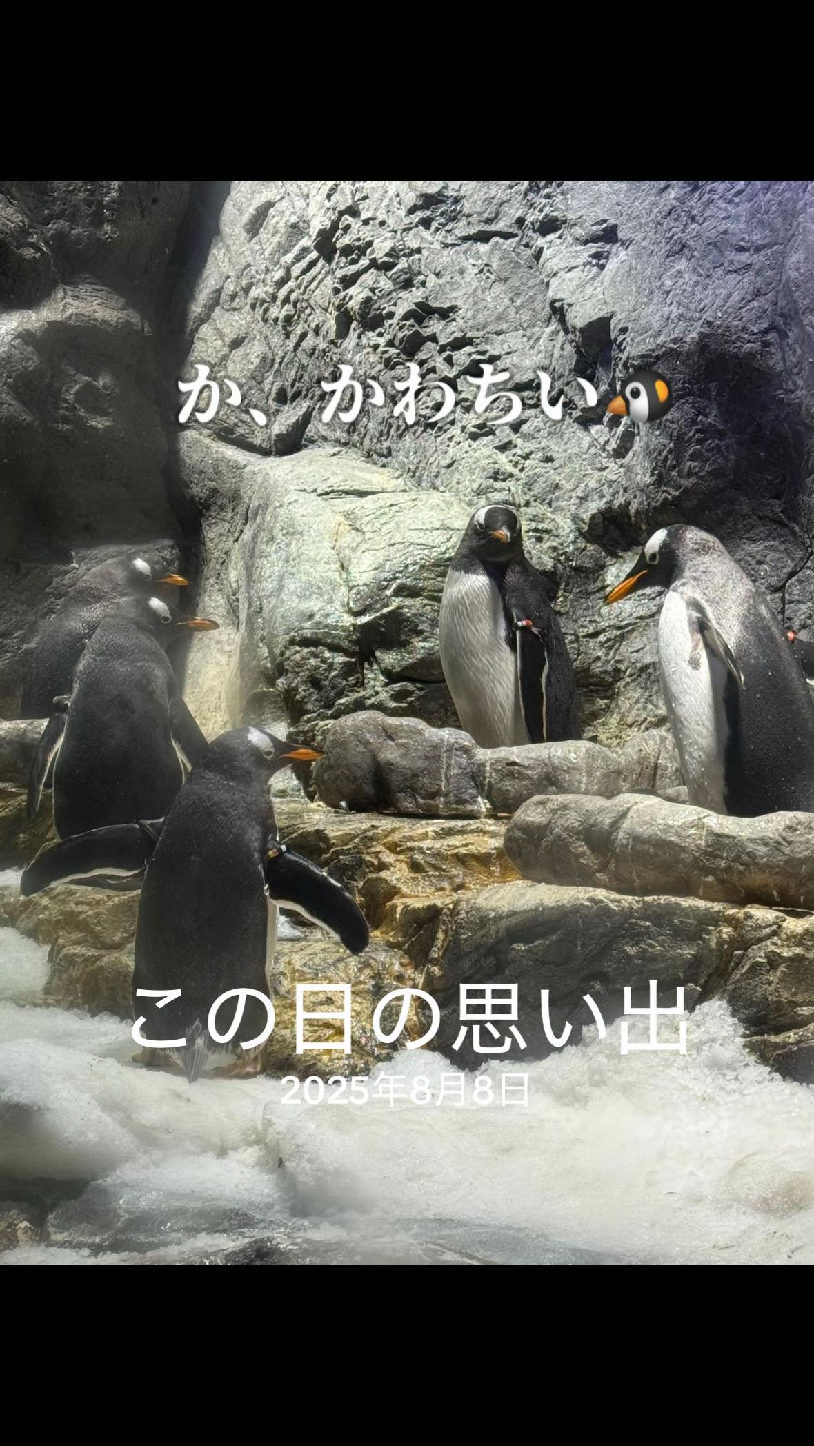 @はらぺこももたす