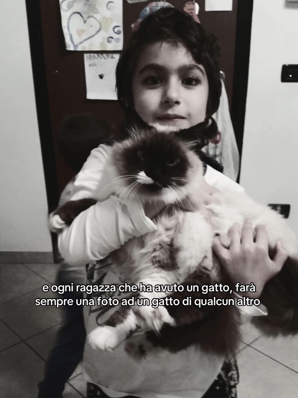 @elis