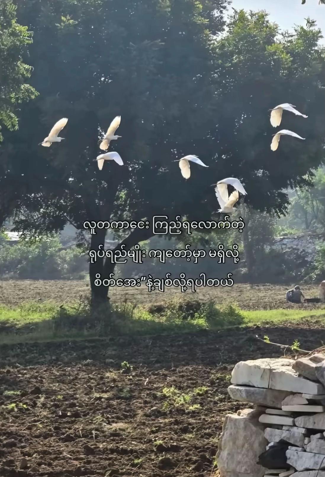 @𝕋𝕙𝕒𝕨 𝕙𝕥𝕖𝕥 ℤ𝕚𝕟🌿