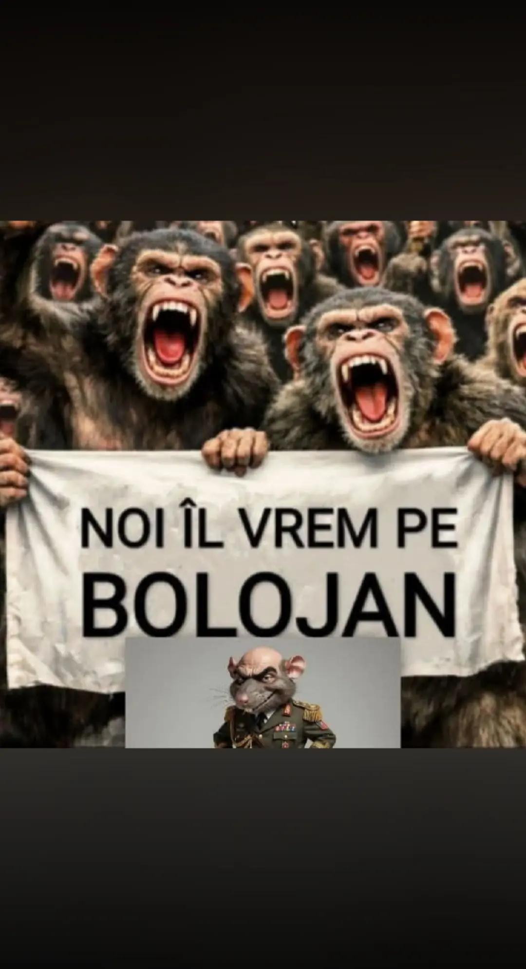 @CatA