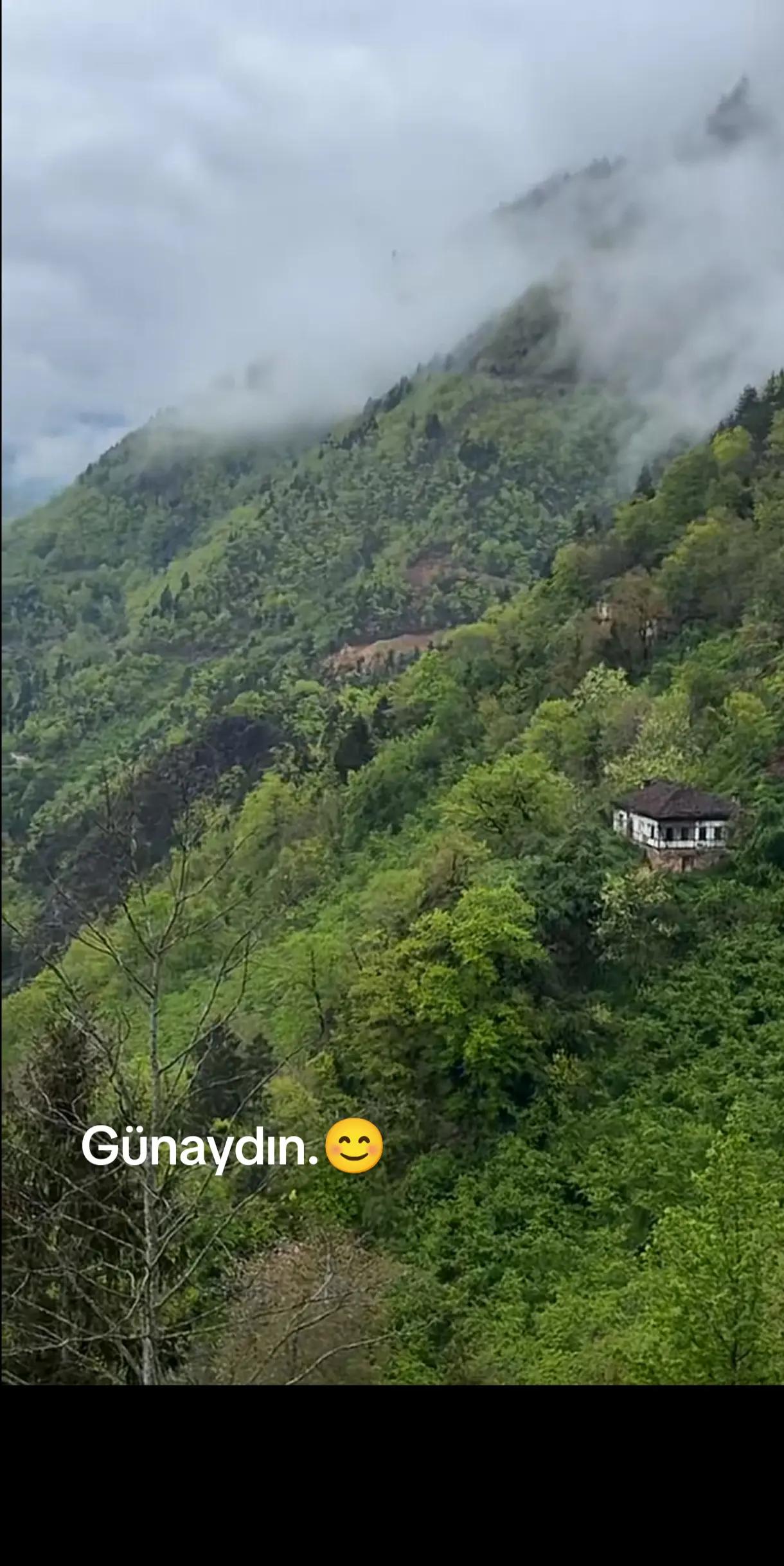 @💙LEYLA❤️ SULTAN 💙