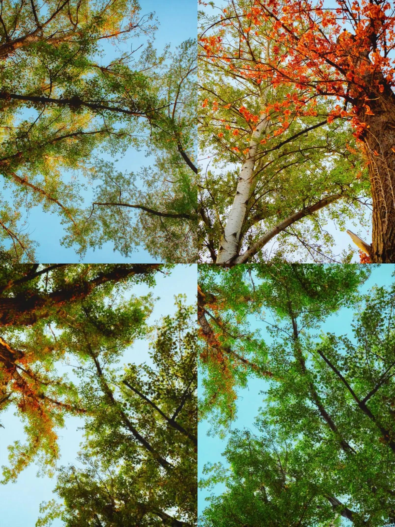 @Fotograf din pasiune 📷
