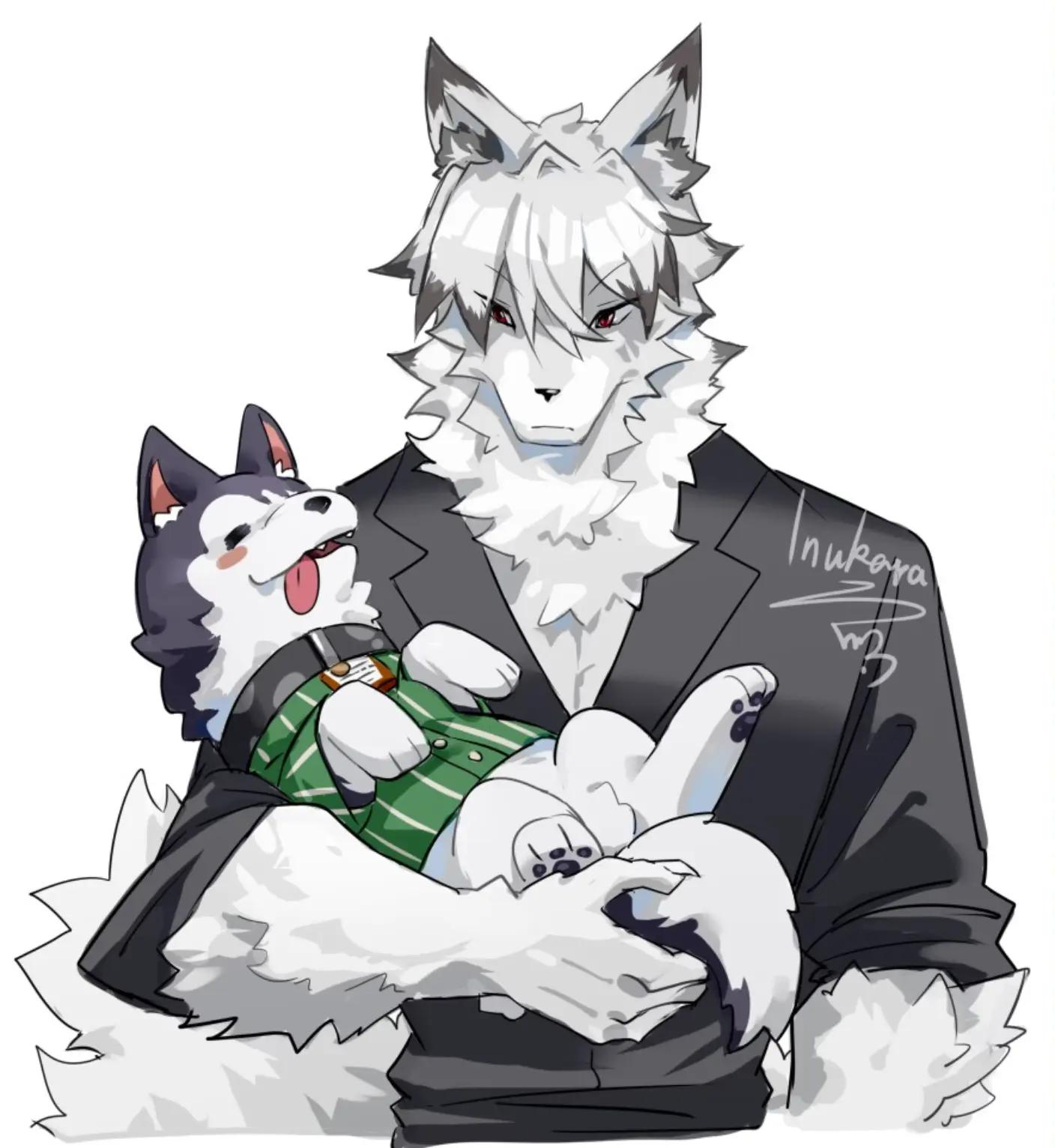 @oso peludo༼ つ ◕‿◕ ༽つ?
