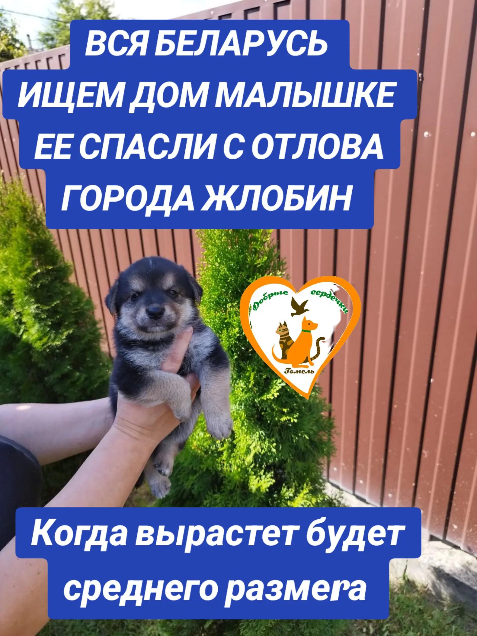 @Марина
