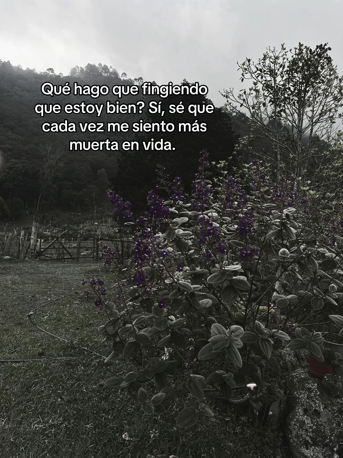 @anonima
