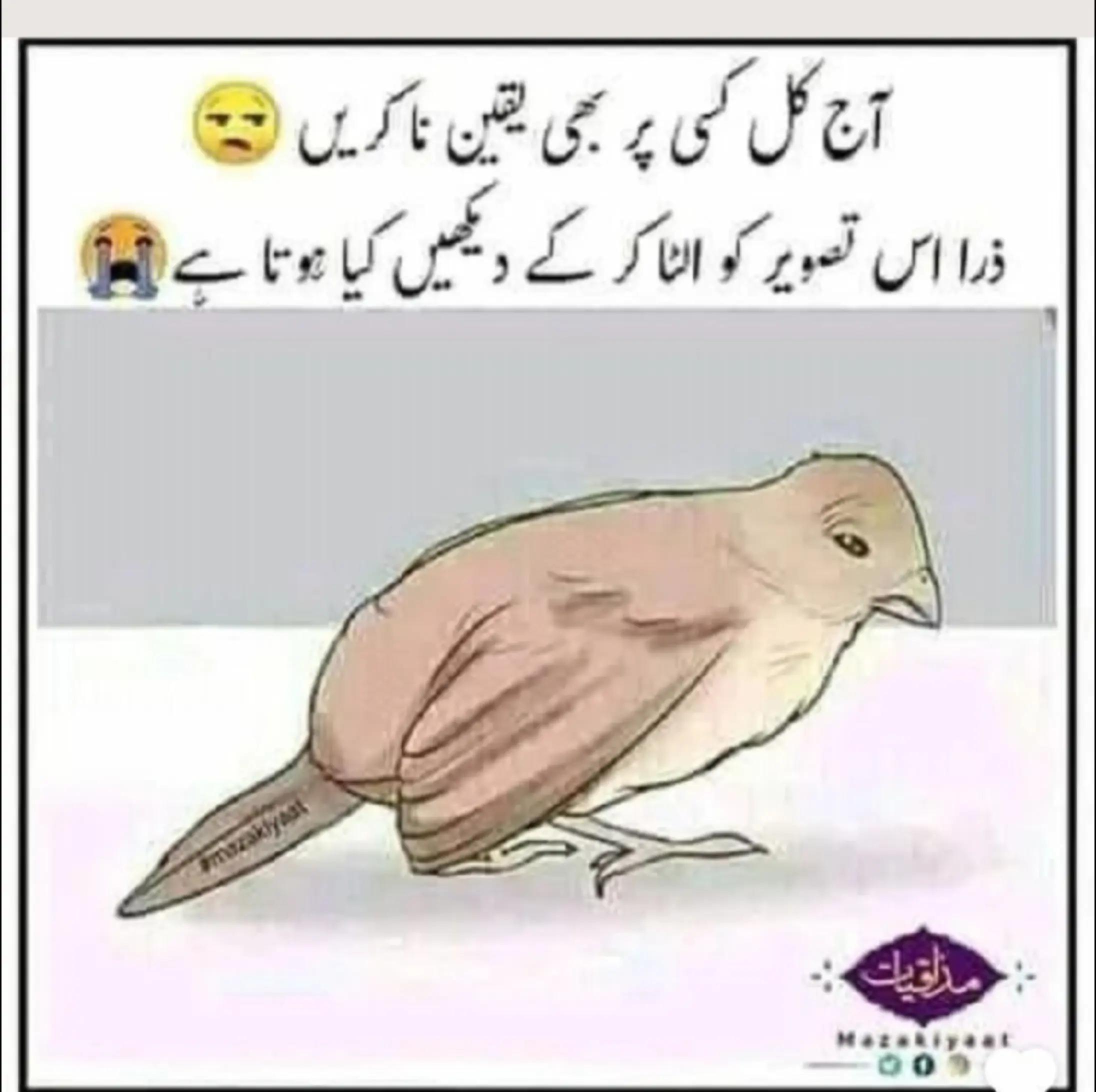 @میاں صاحب ❤️❤️