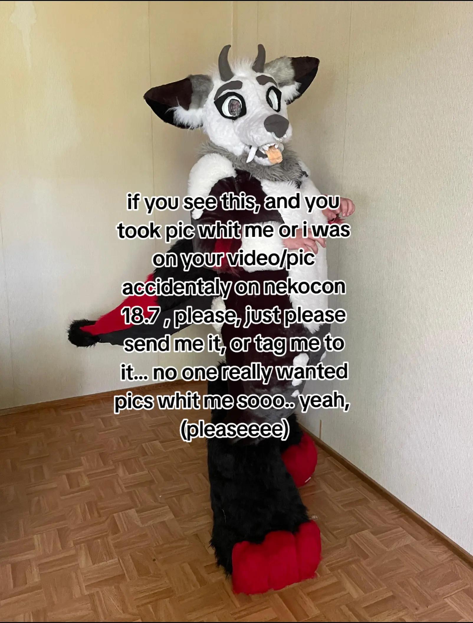 @pluto