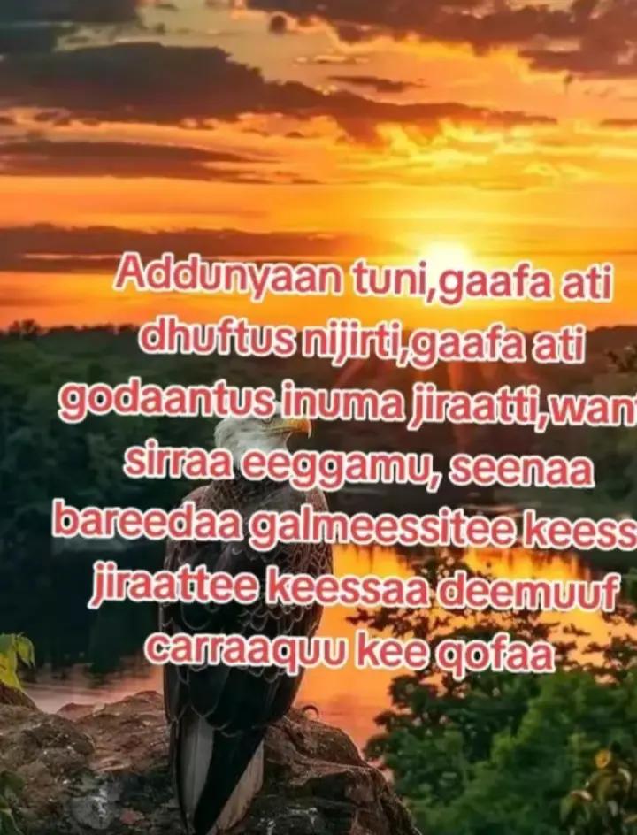 @(☆كن فيكون☆ 《حاليما)