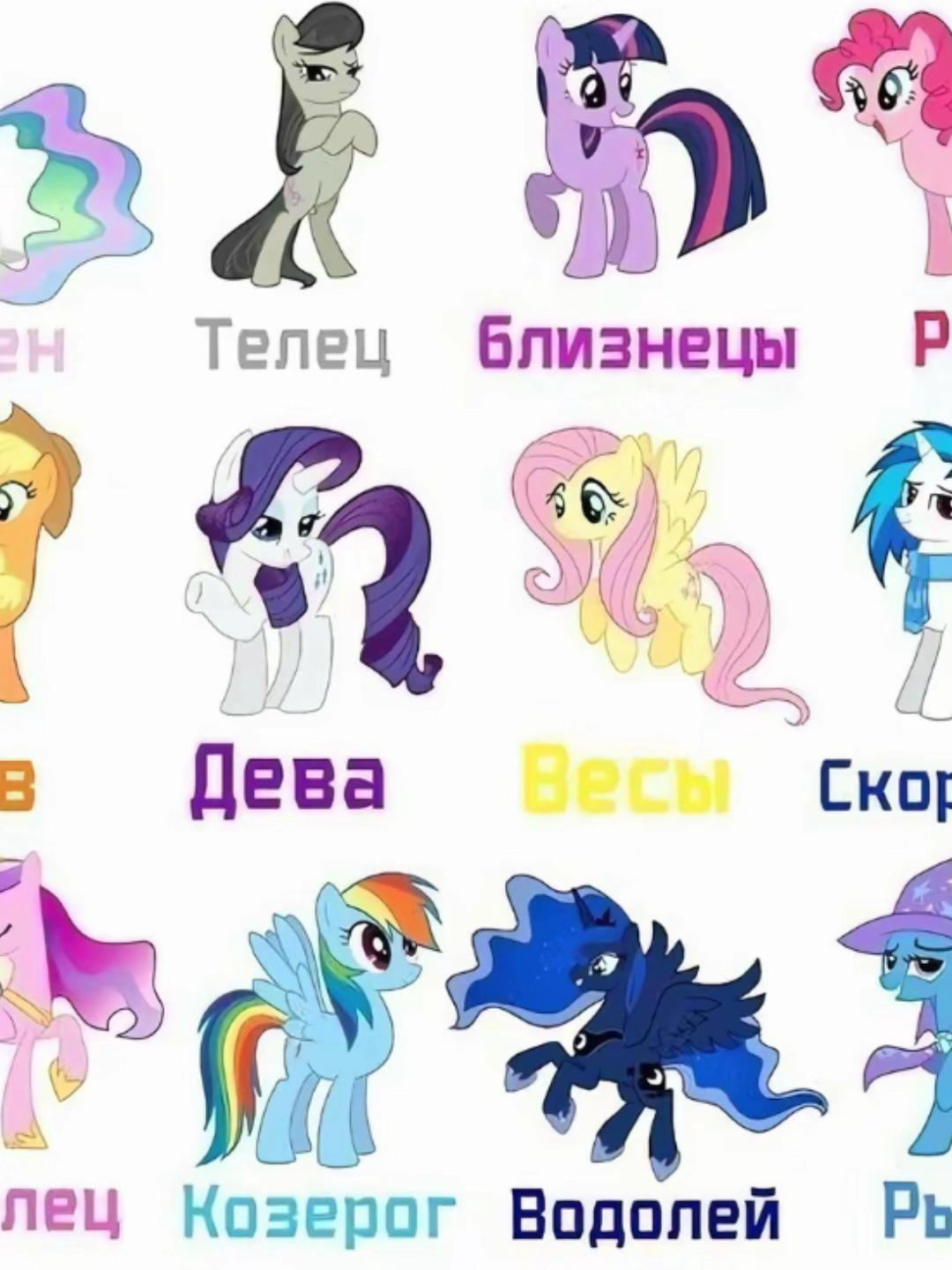 @viksterr