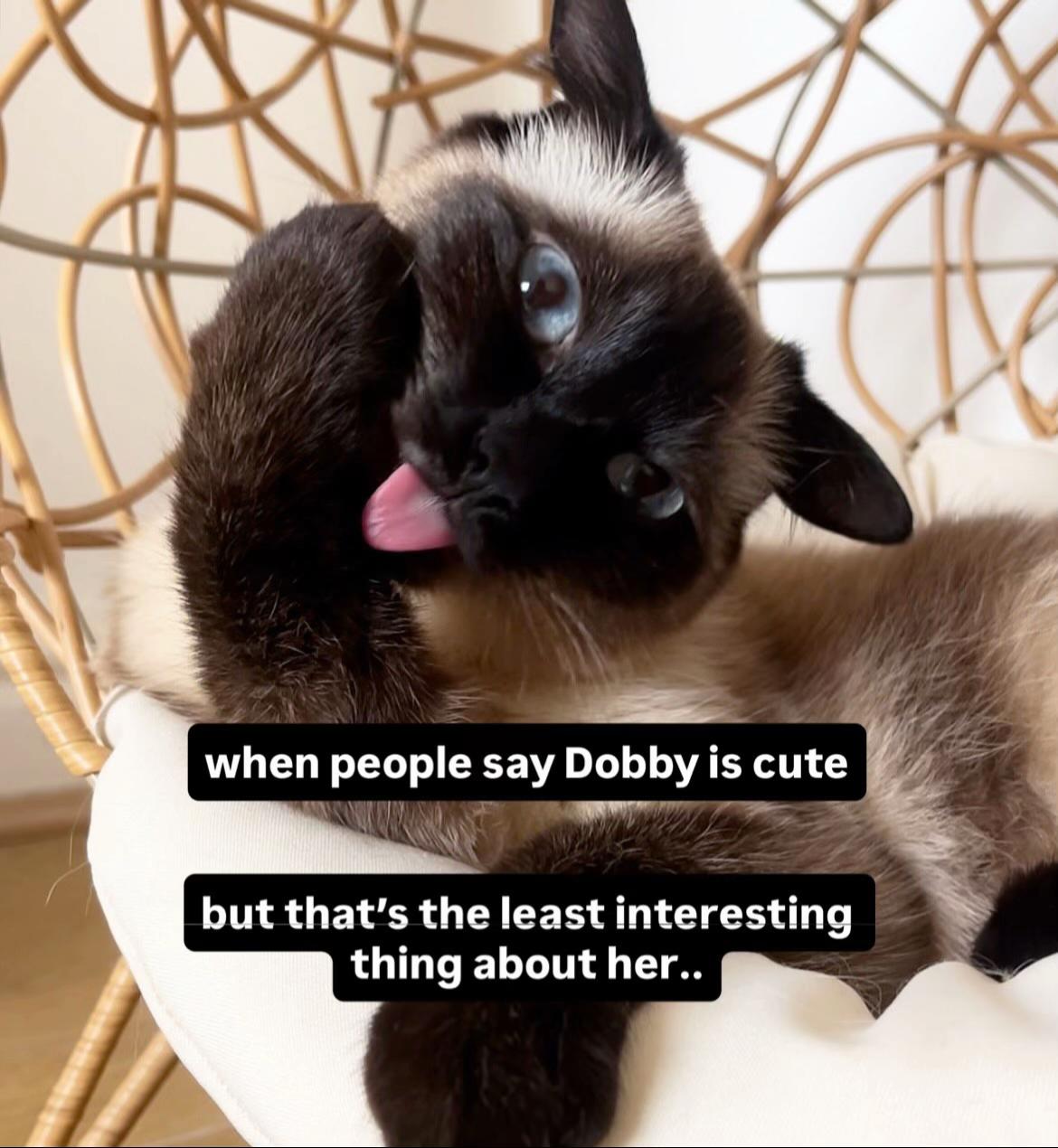 @dobby ft. boba