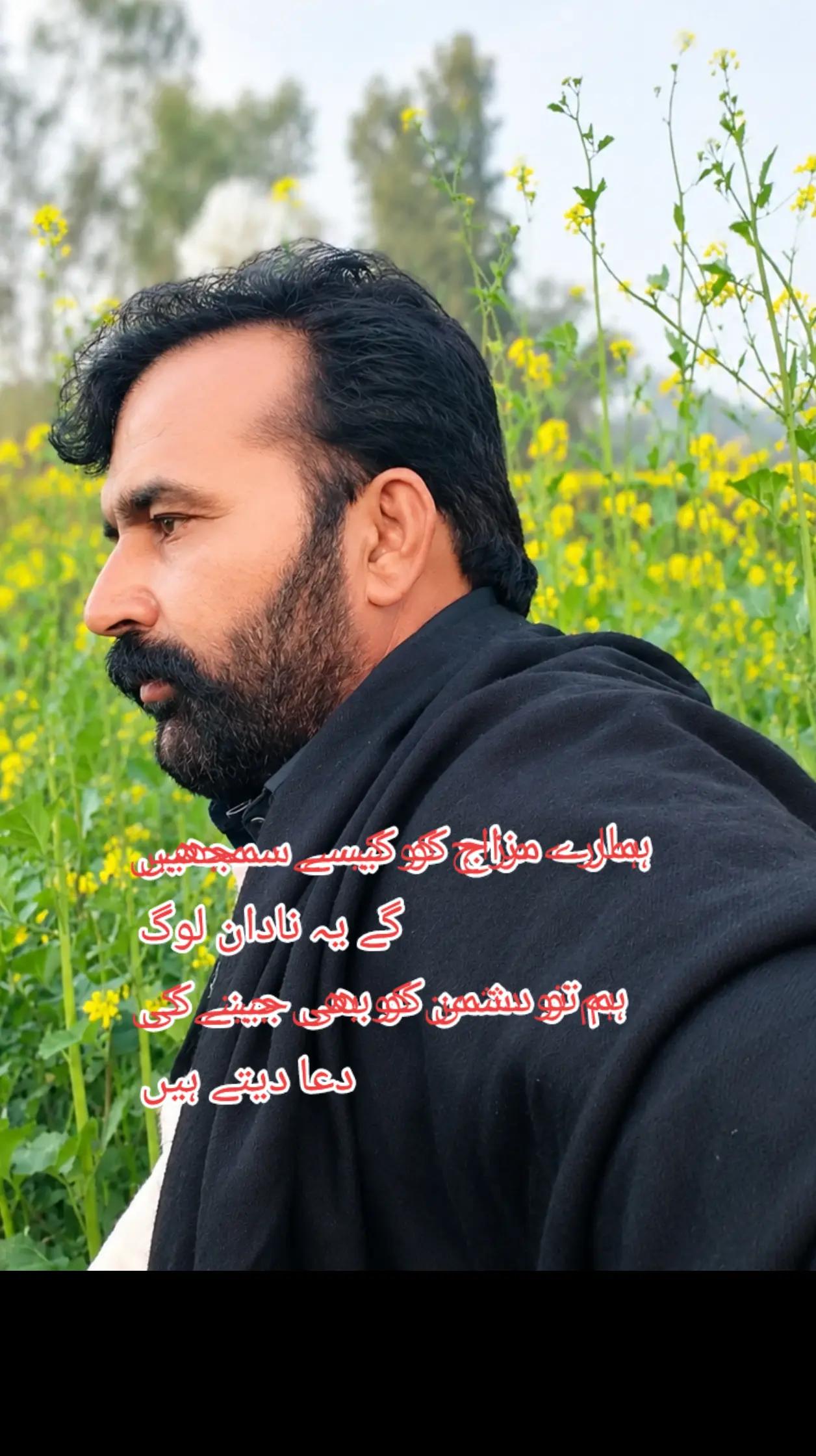 @Zameer Blouch