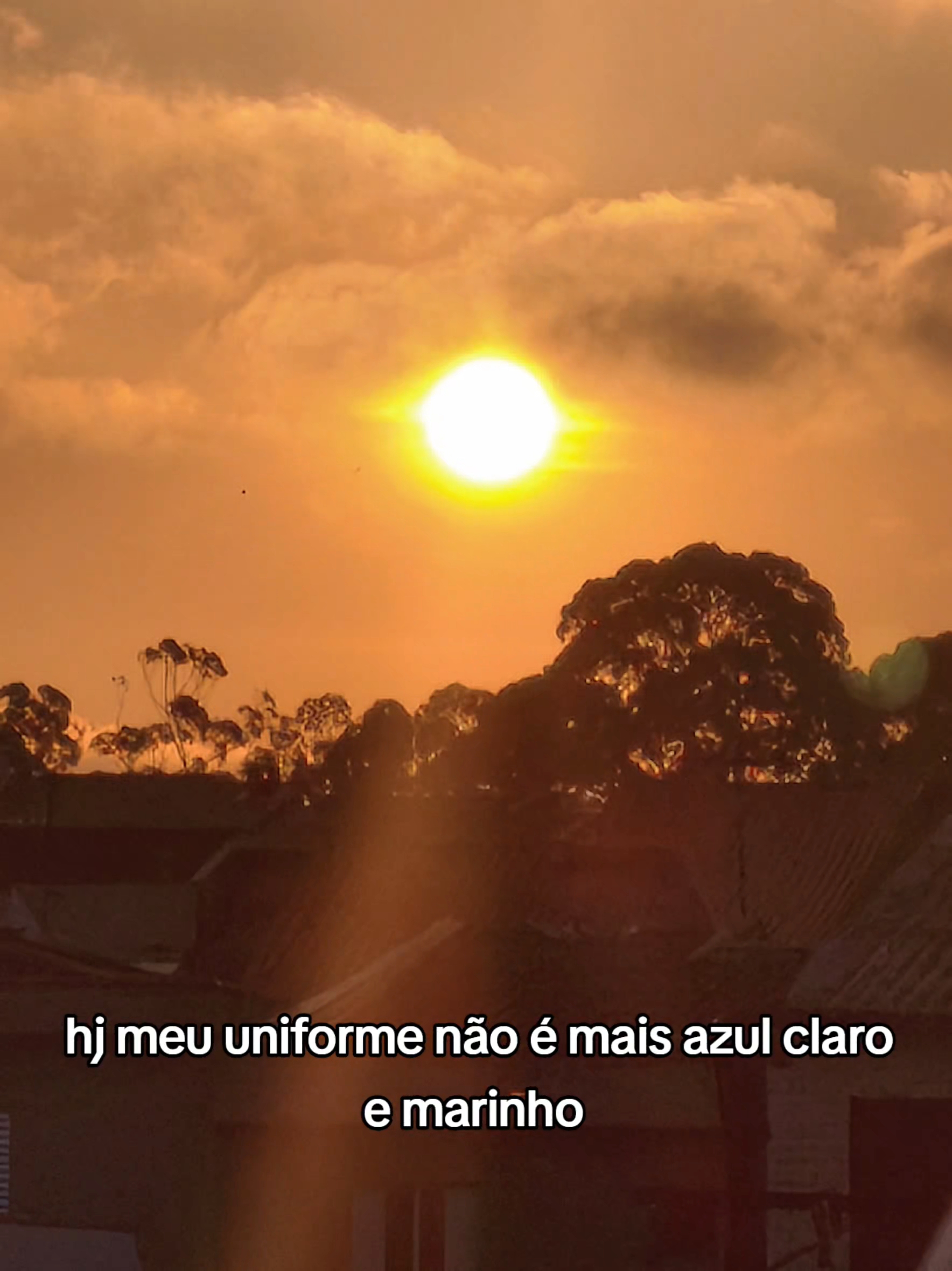 @Sayuri 💯 Damon