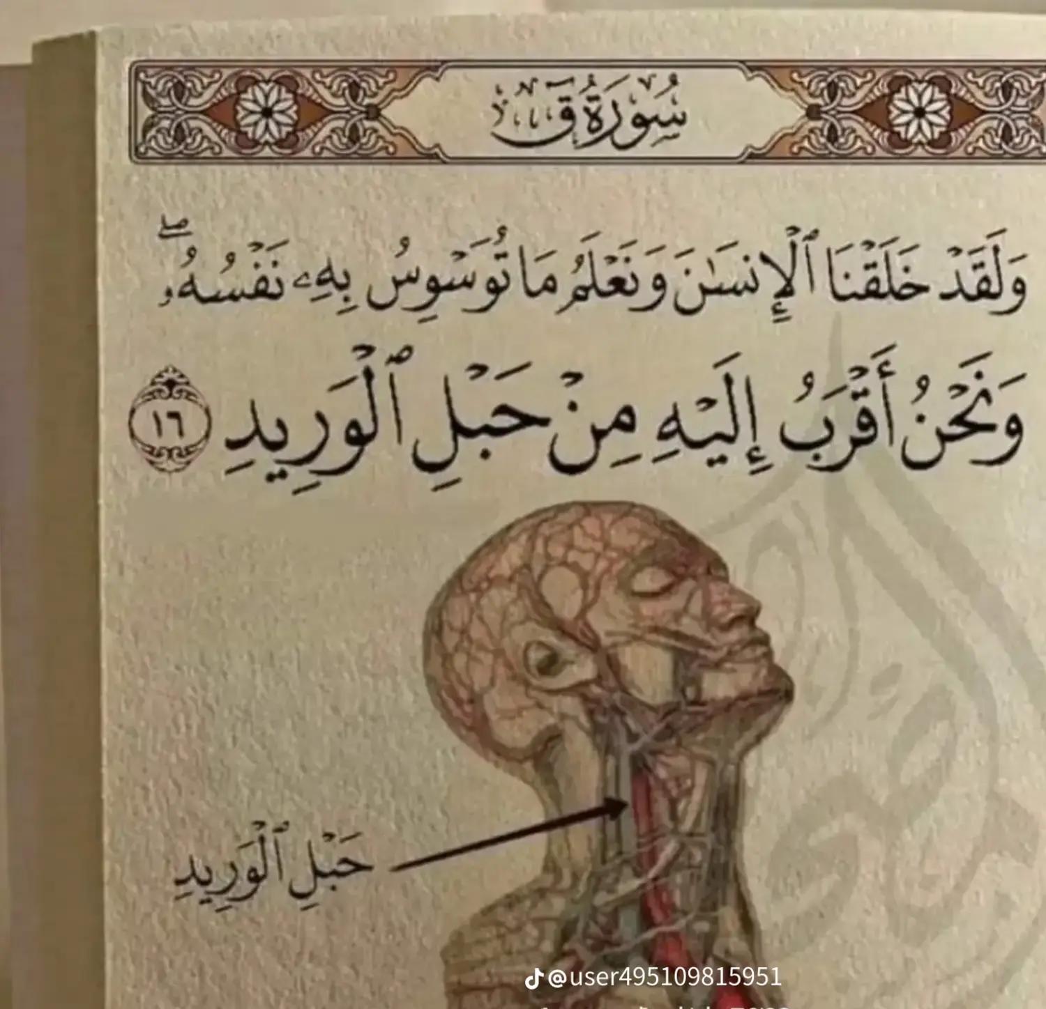 @qindeysaa arab