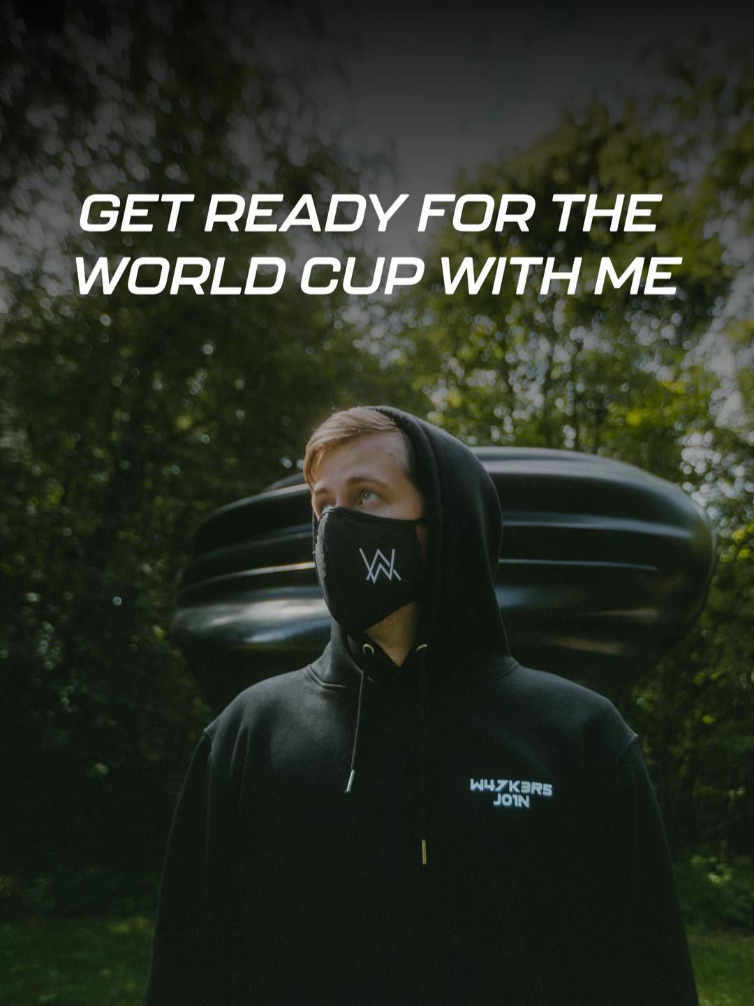@Alan Walker