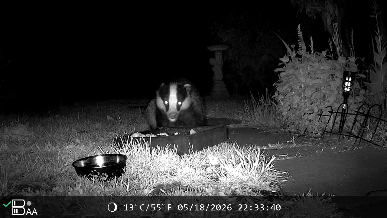 @Kent Garden Wildlife UK