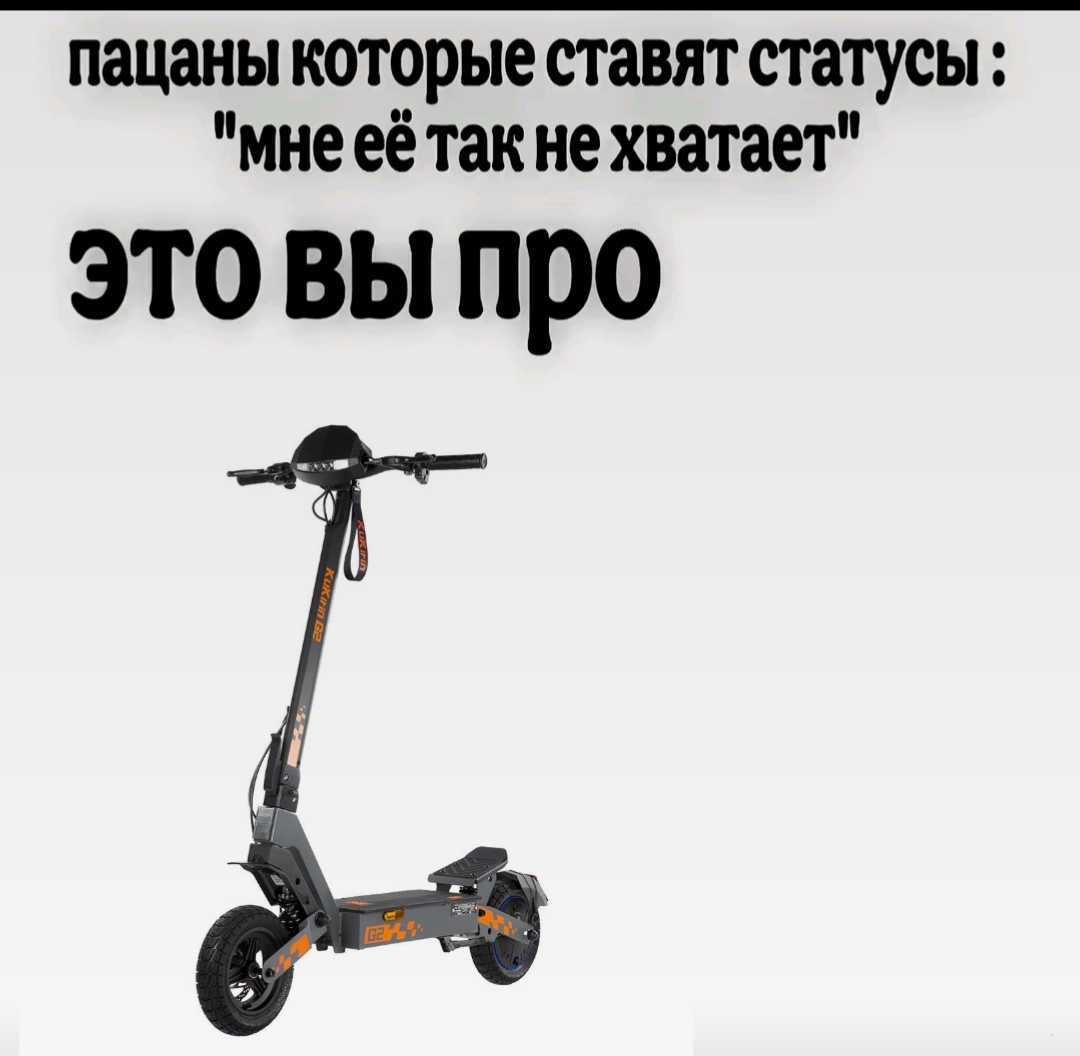 @wanted c1+ | INEX