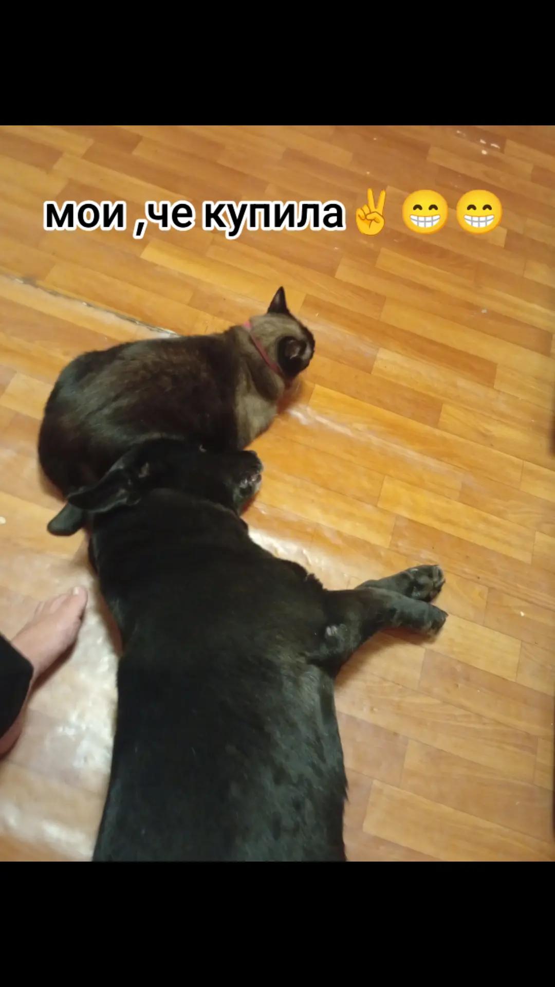 @Вера Санна я)))