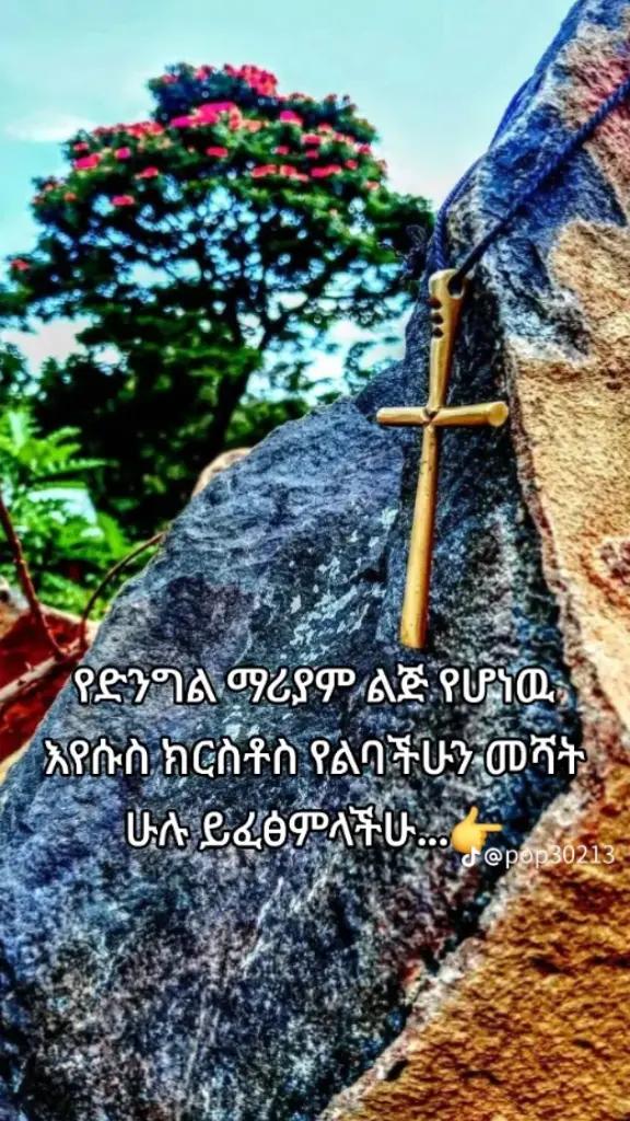 @๐ผ๐ช๐ถ๐ฒ 19