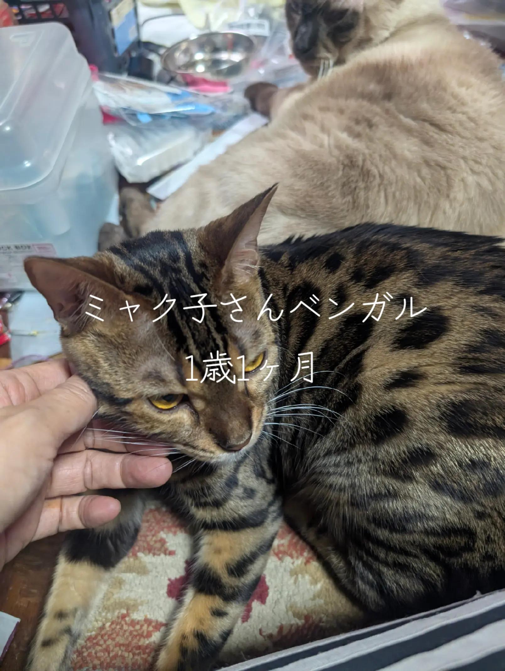 @睡眠プロデュース