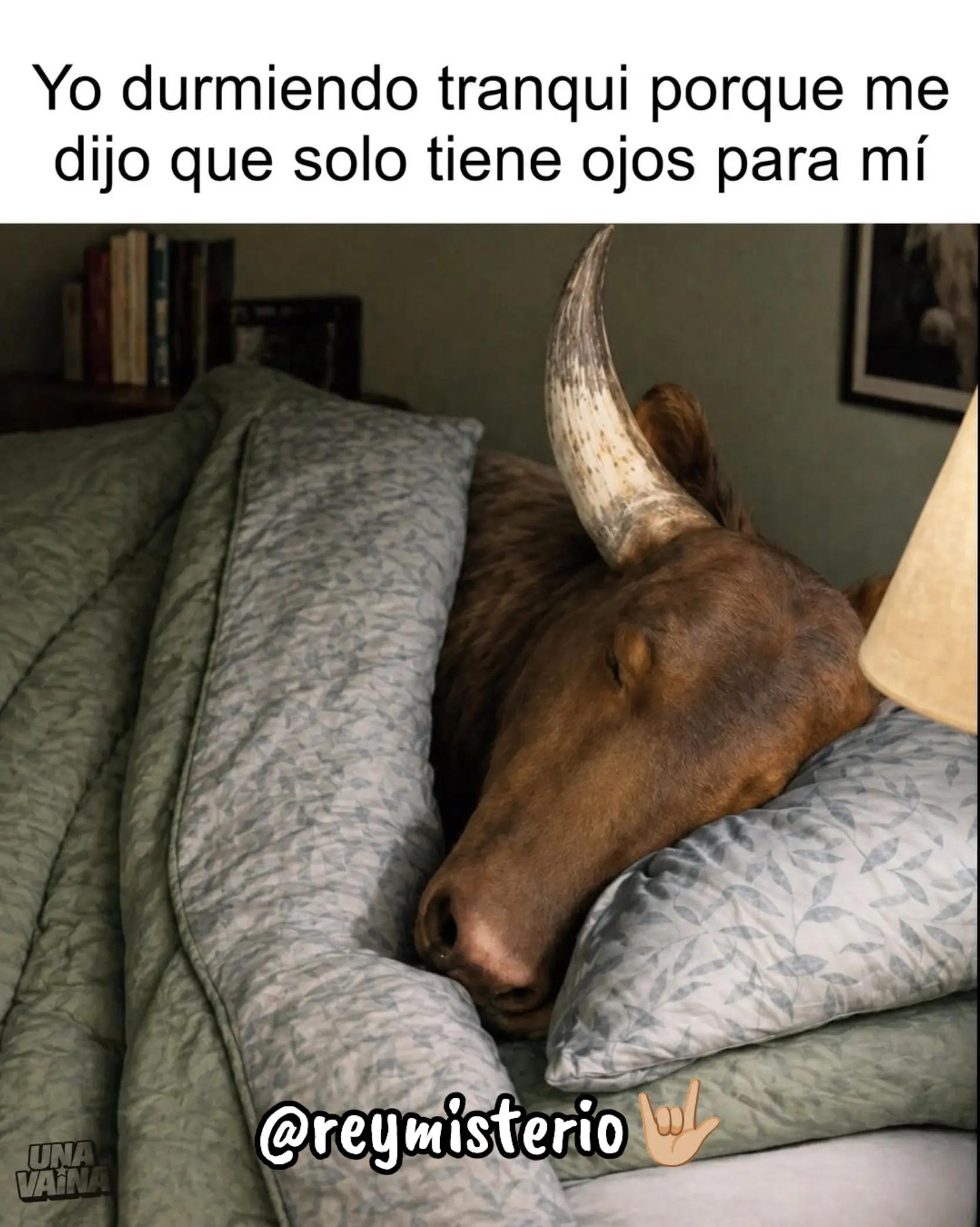 @Rey Misterio🤤