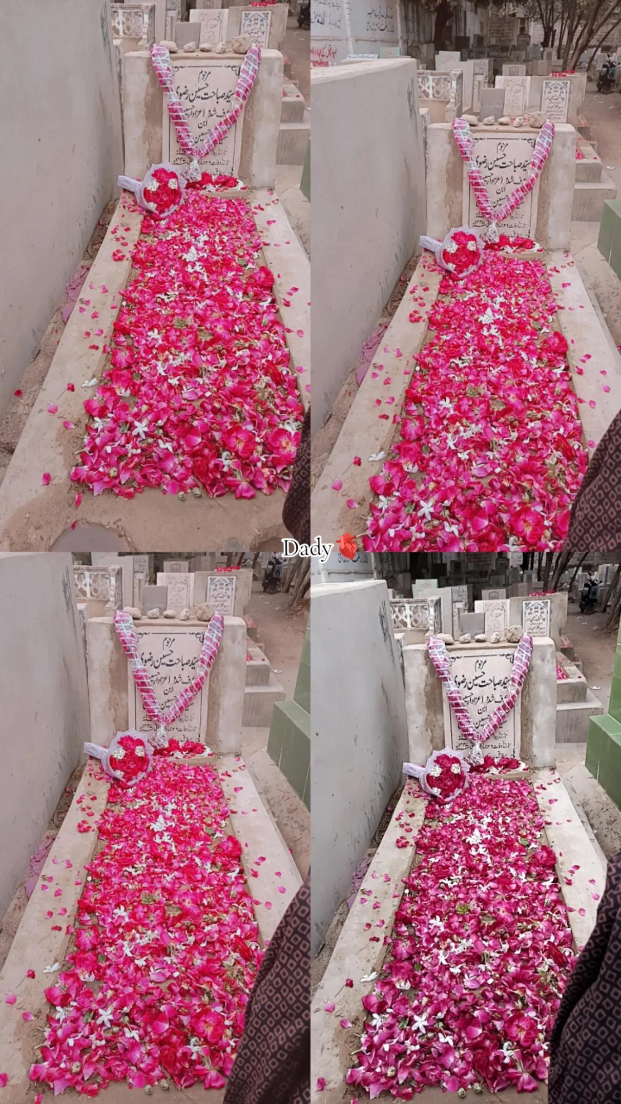 @꧁سیدہ ابیہا فاطمہ رضوی꧂