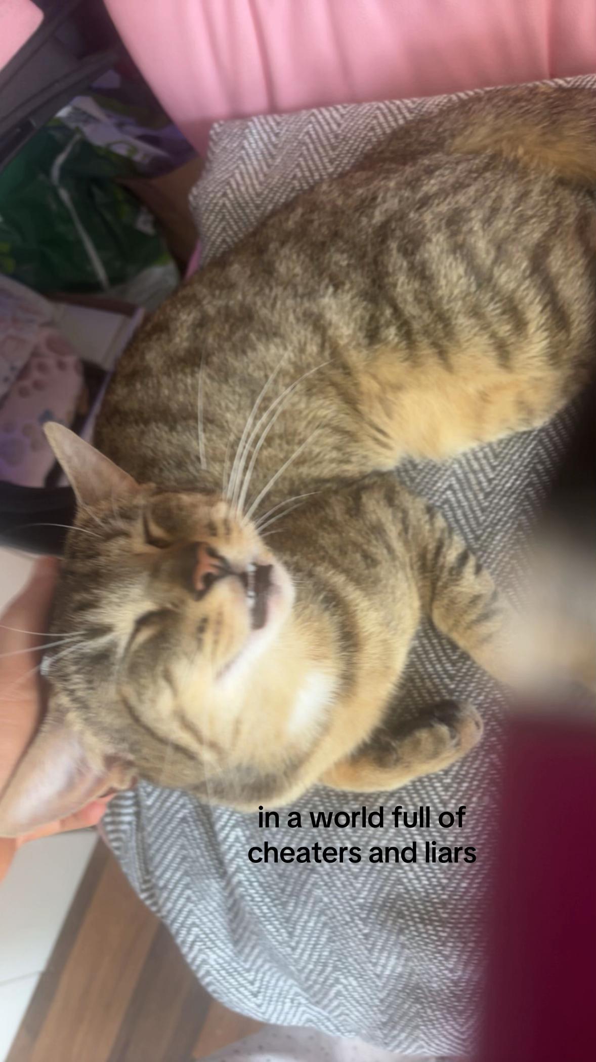 @secret🥰