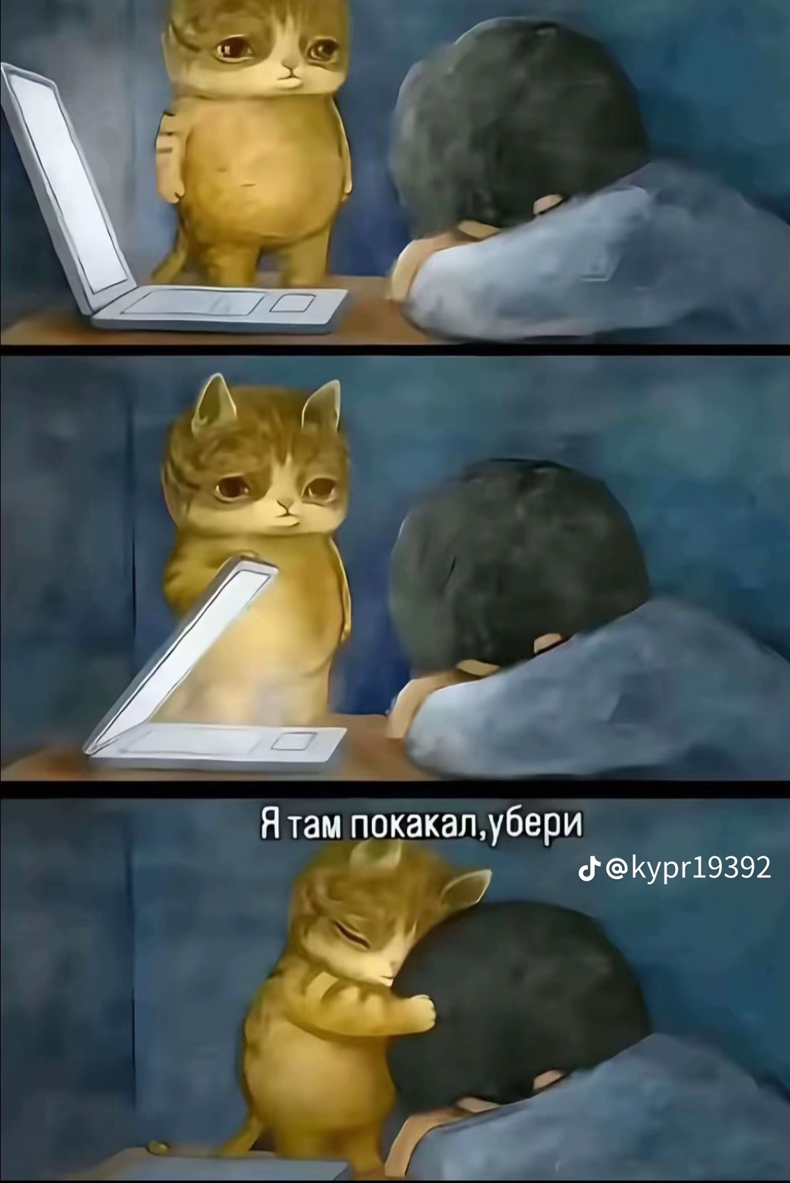 @🪽