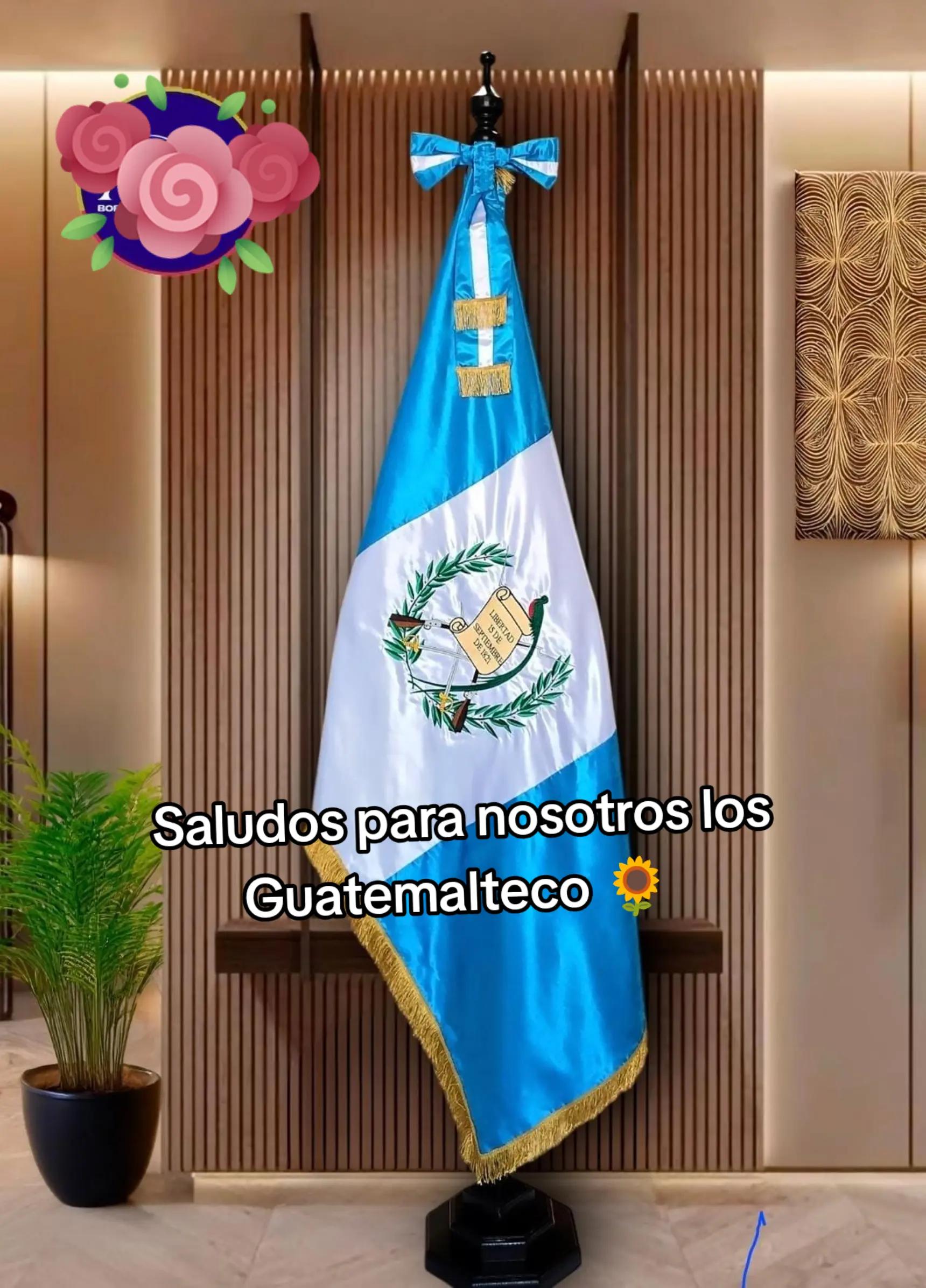 @Evercocyat