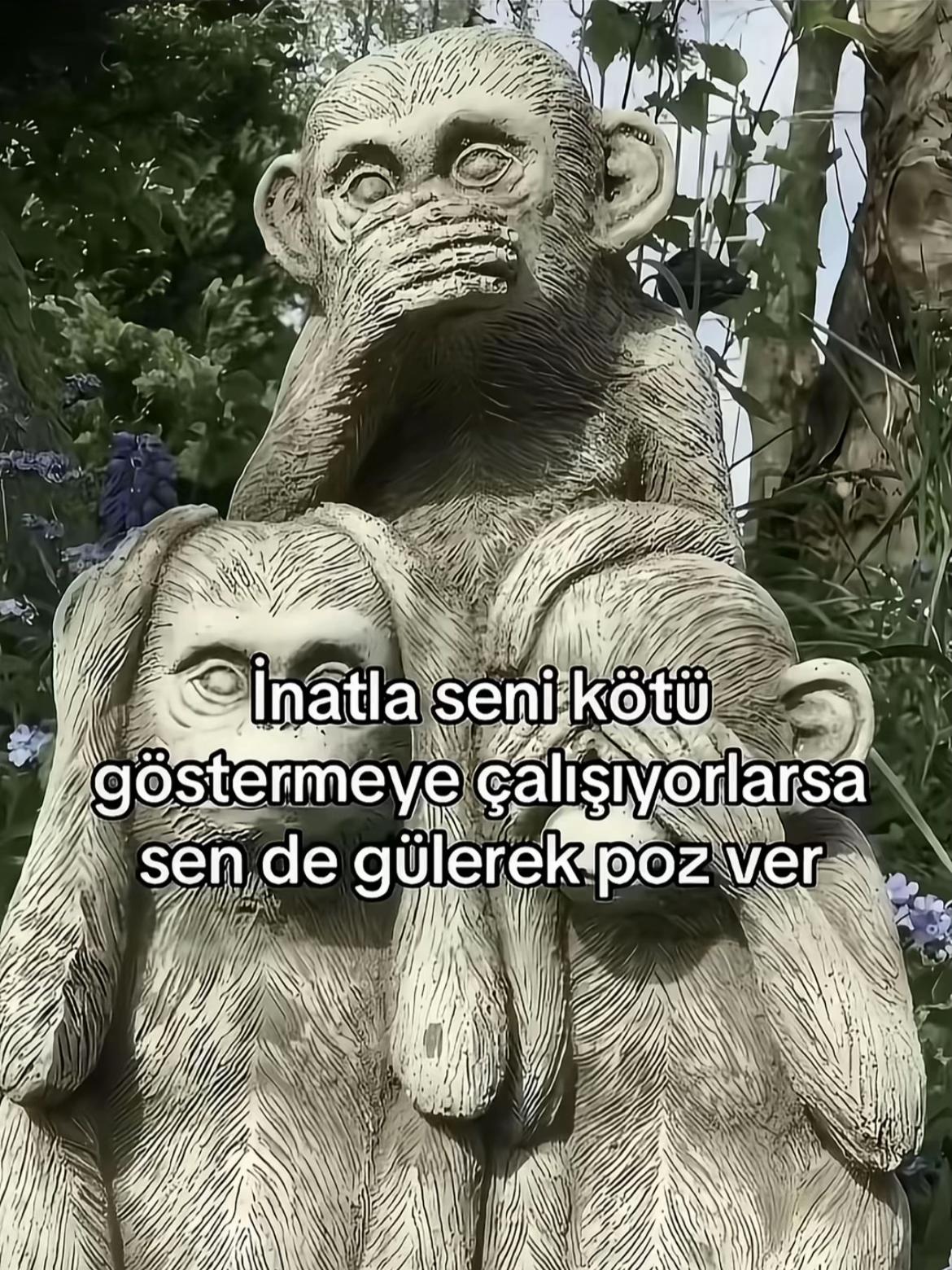 @rabis 🇦🇱