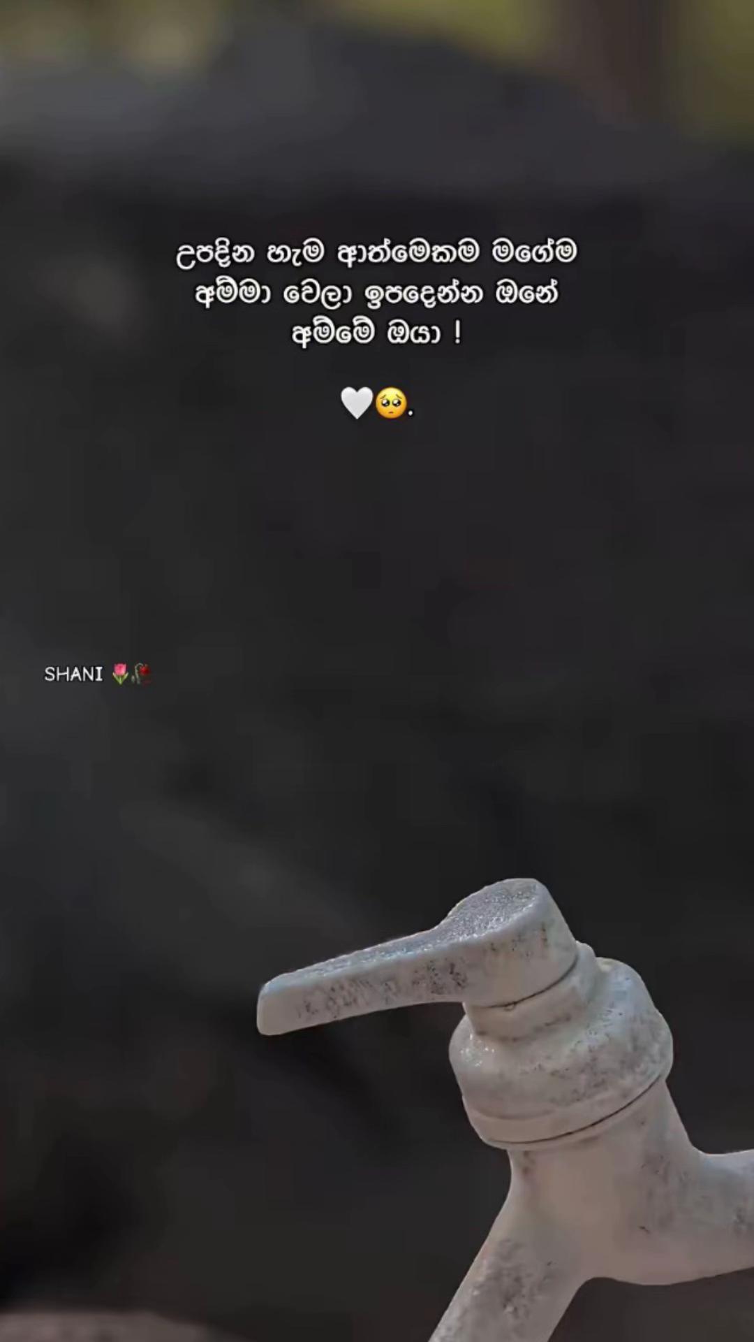 @sasanjana 🪽