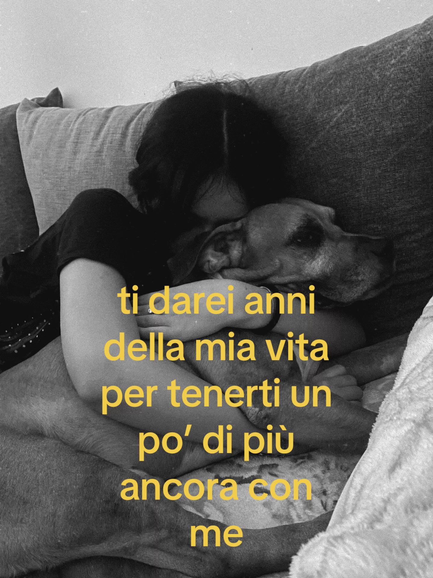 @Luigia Baratta