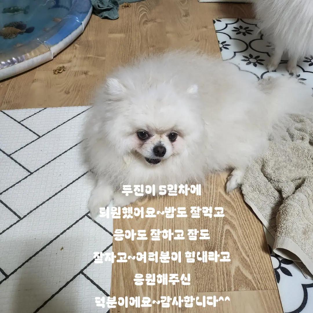 @두진이와두리 아빠