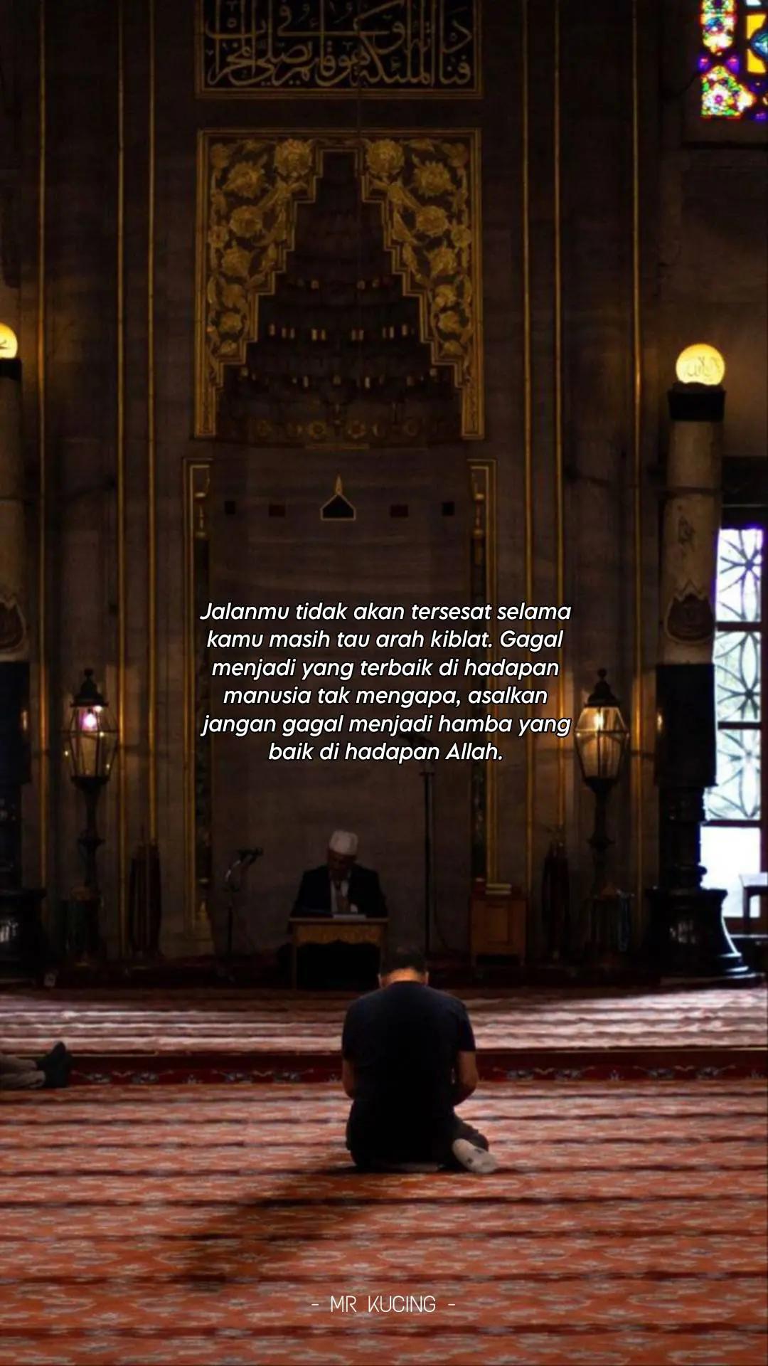 @MR KUCING 🇵🇸