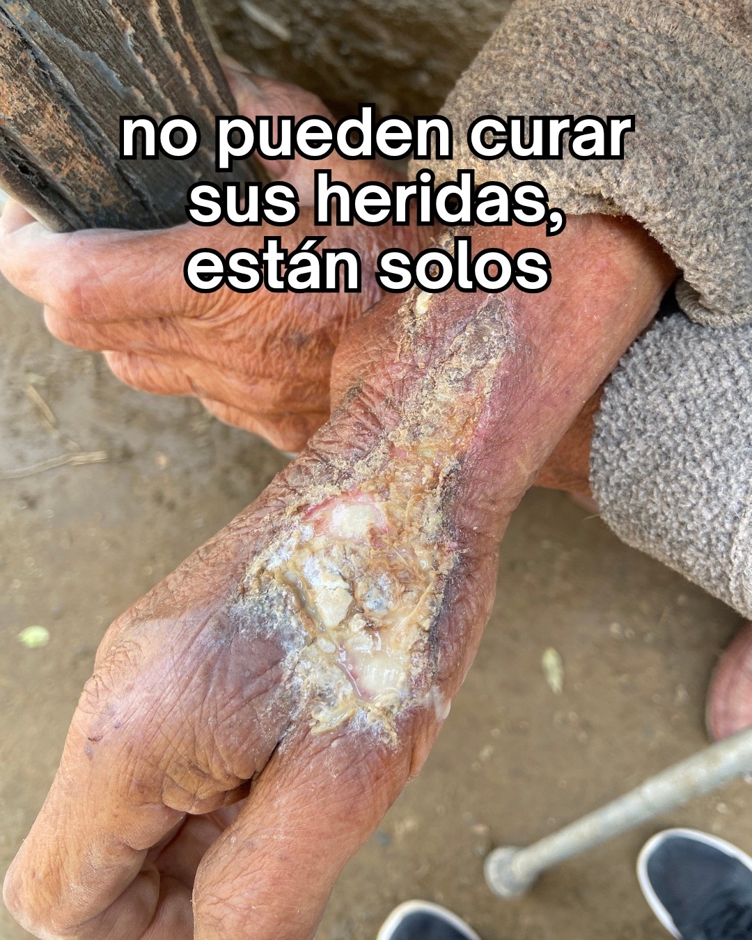 @AdoptaUnAbuelito