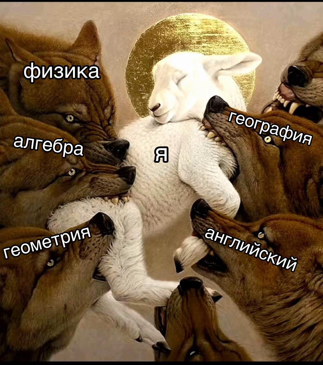 @пупсик🙊