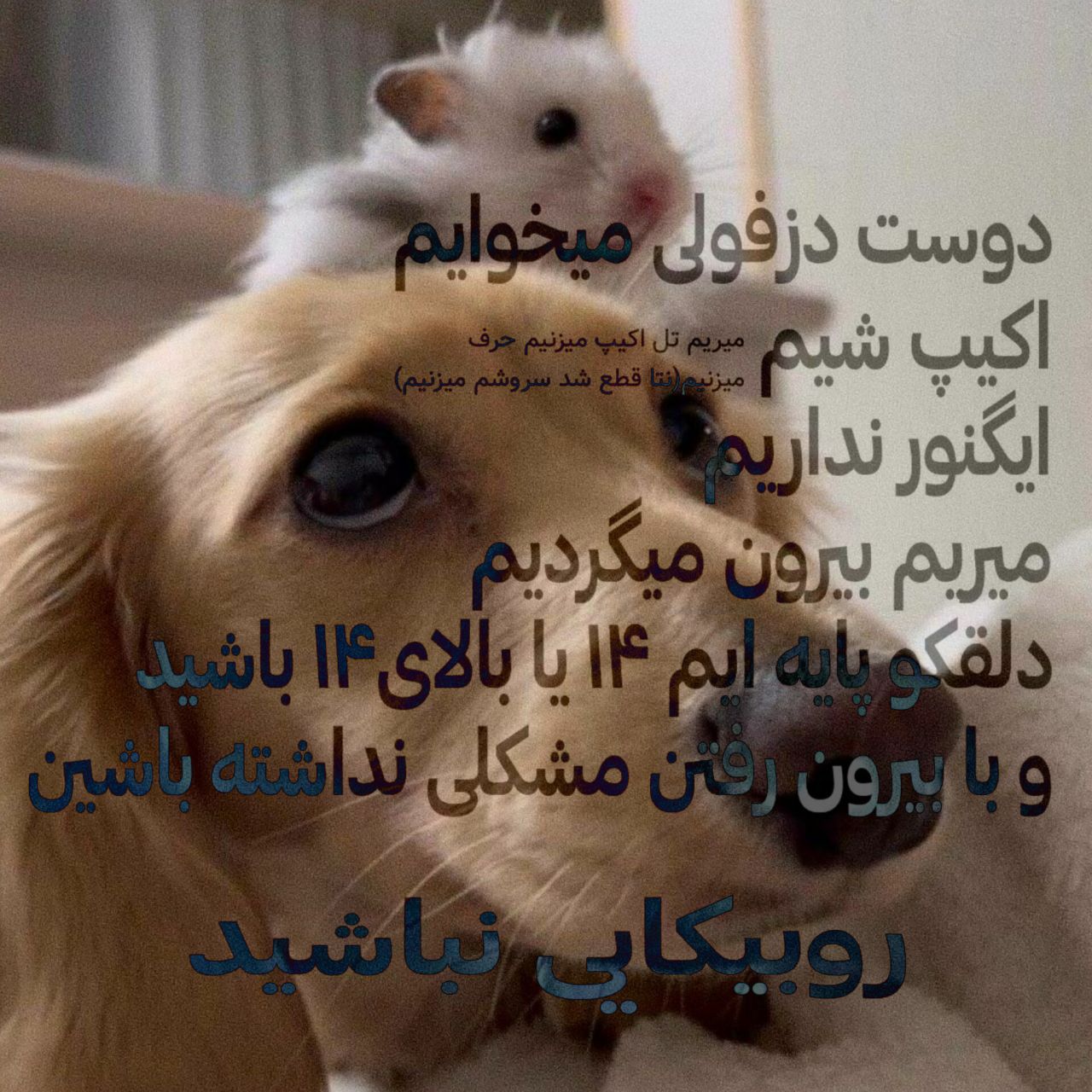 @Elina