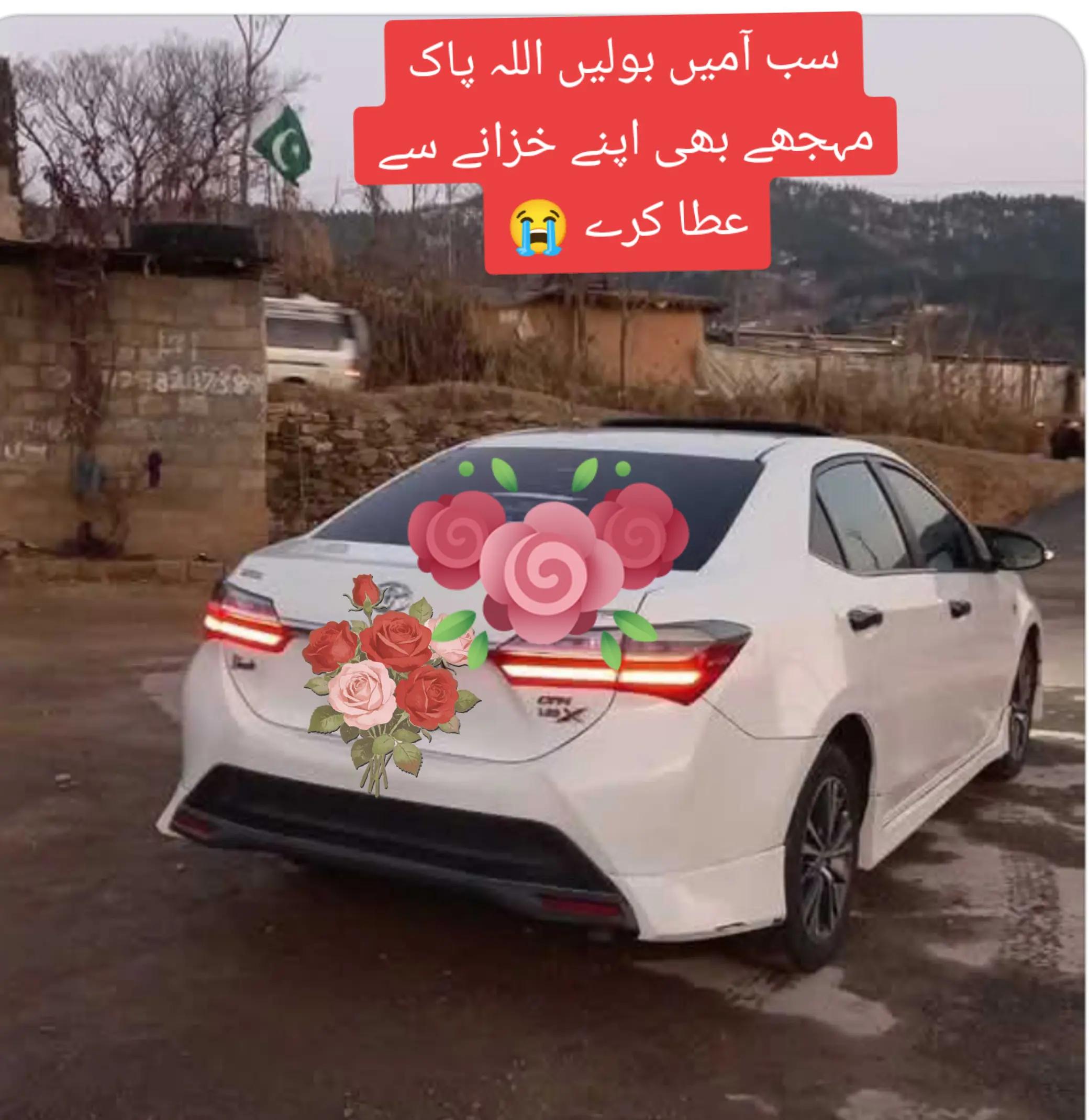 @Khan Zadi 🦅