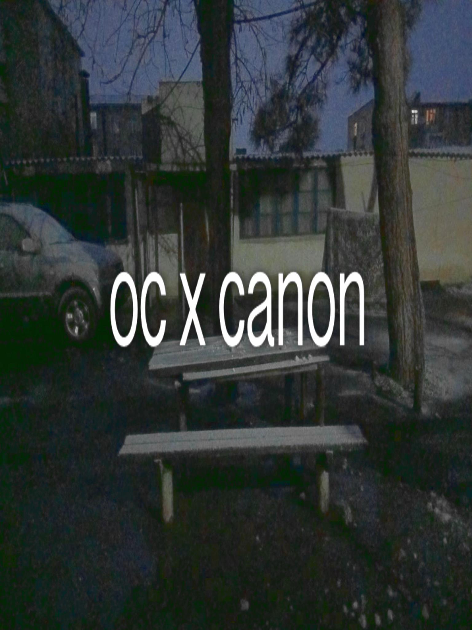 @𖥻 ׁ ׅ 𝒞hinnins ! ׁ ׅ 📀