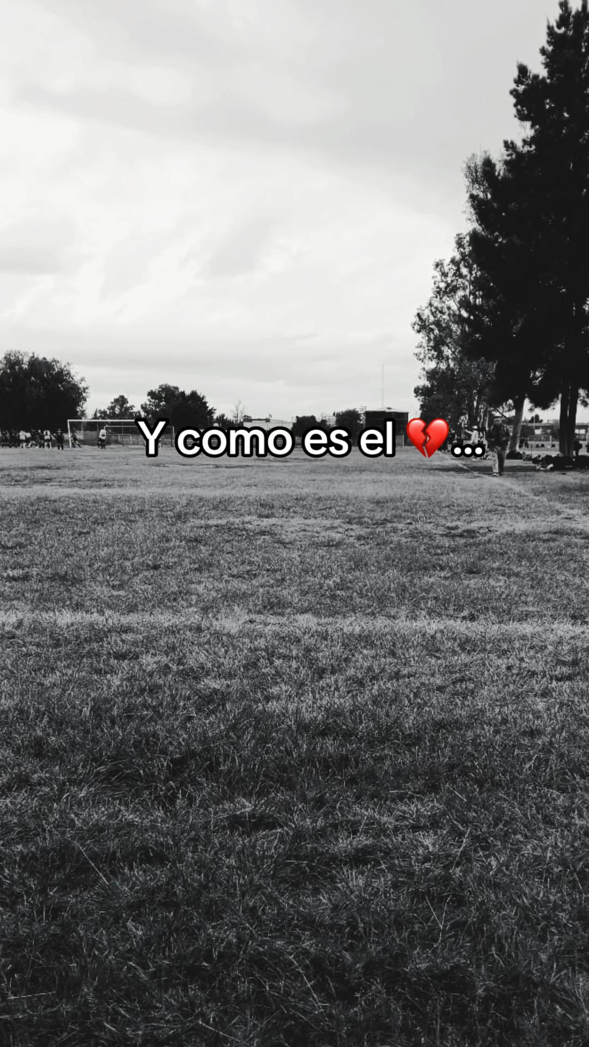 @Yocc✨🦅