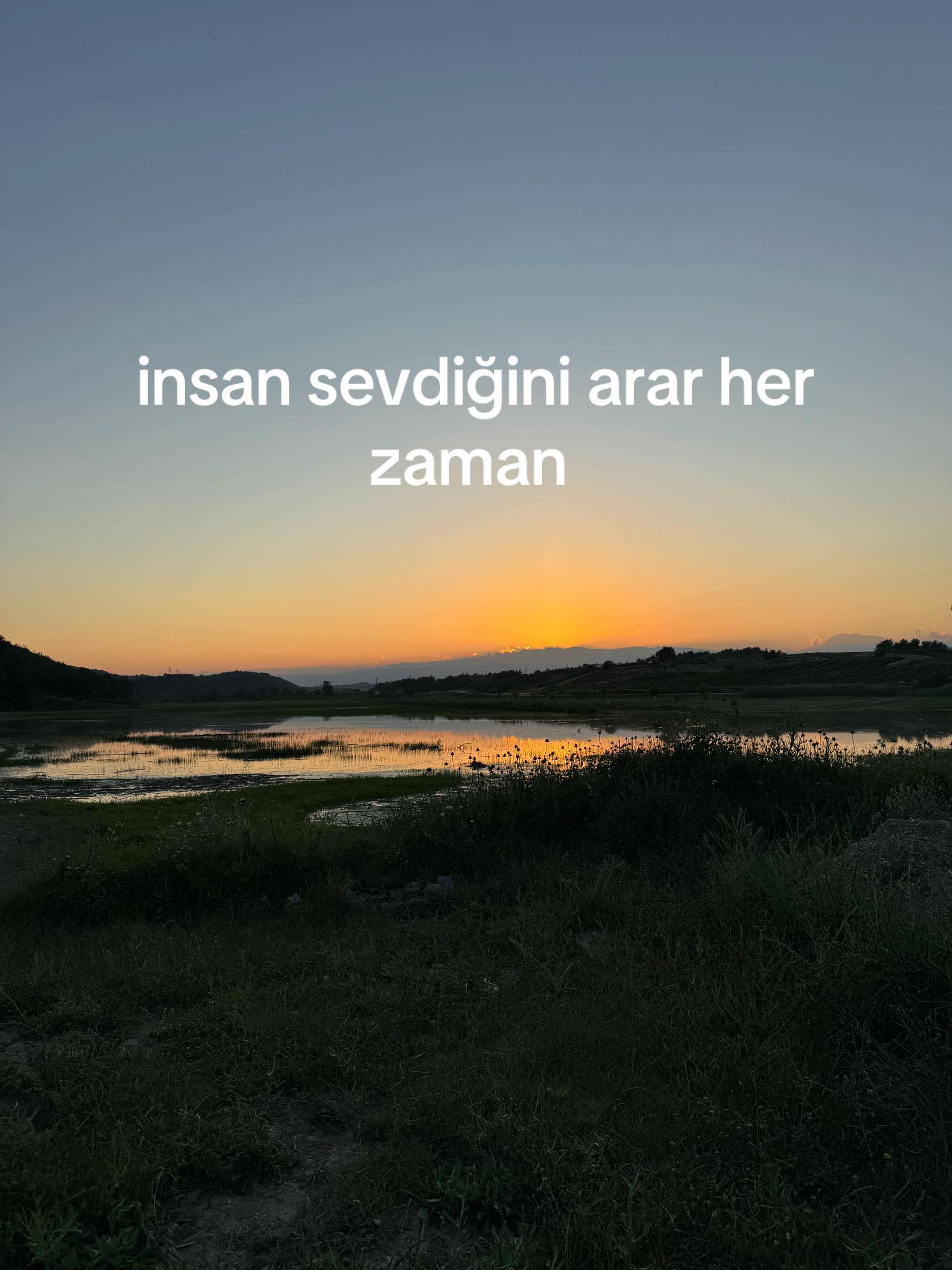 @simodemo5