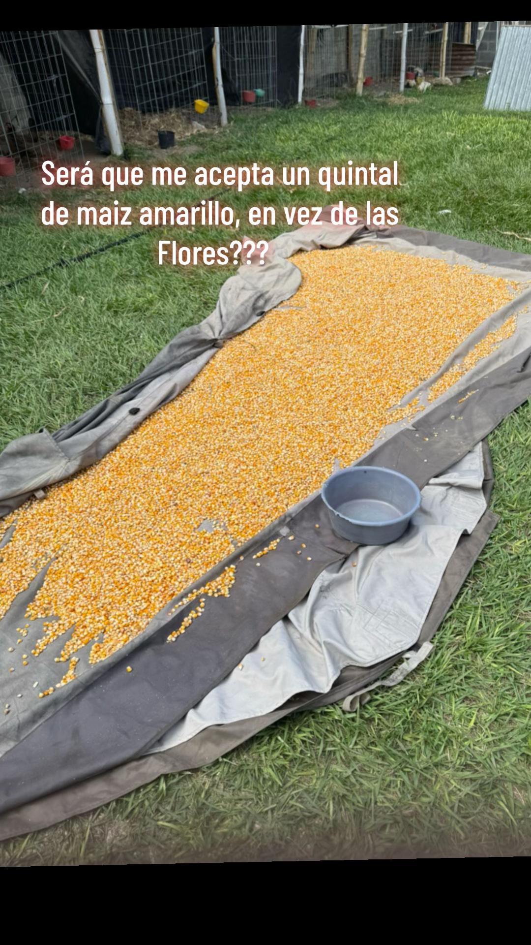 @Antonio García
