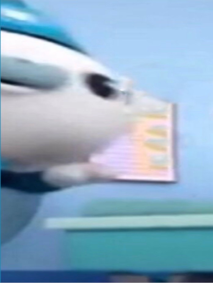 @＊*&bull;̩̩͙✩&bull;̩̩͙*˚sam˚*&bull;̩̩͙✩&bull;̩̩͙*˚＊