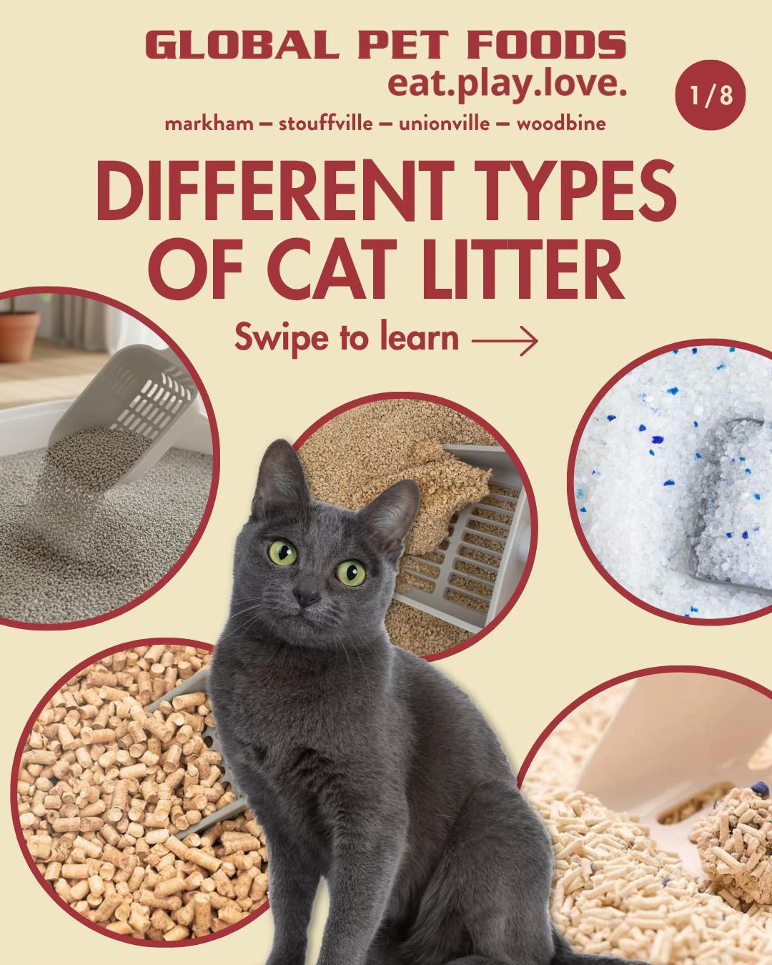 @Global Pet Foods York Region