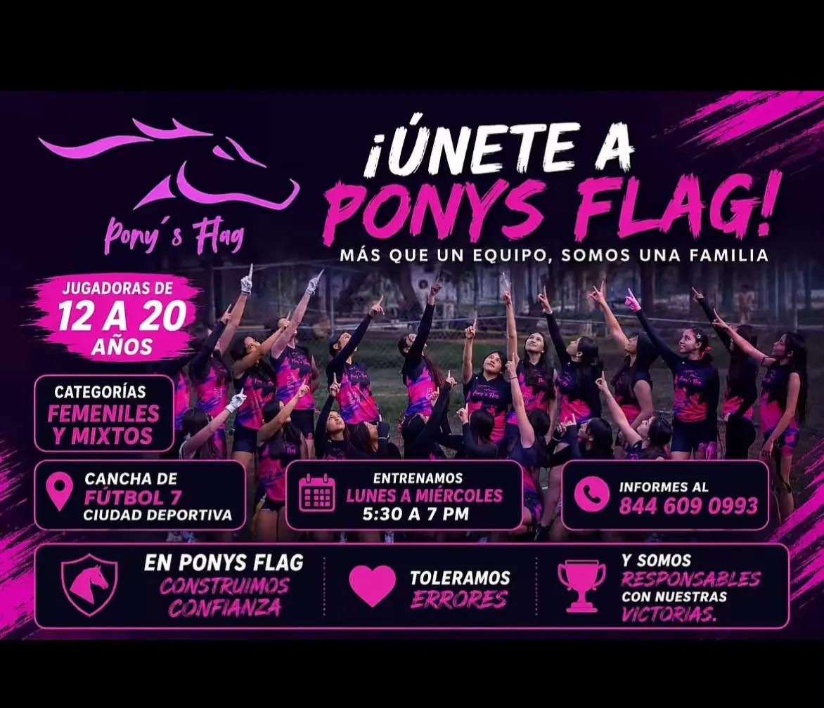 @Pony's Flag SLW