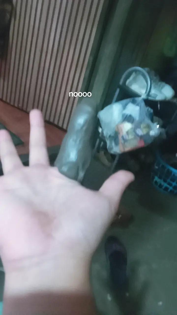 @fake grox