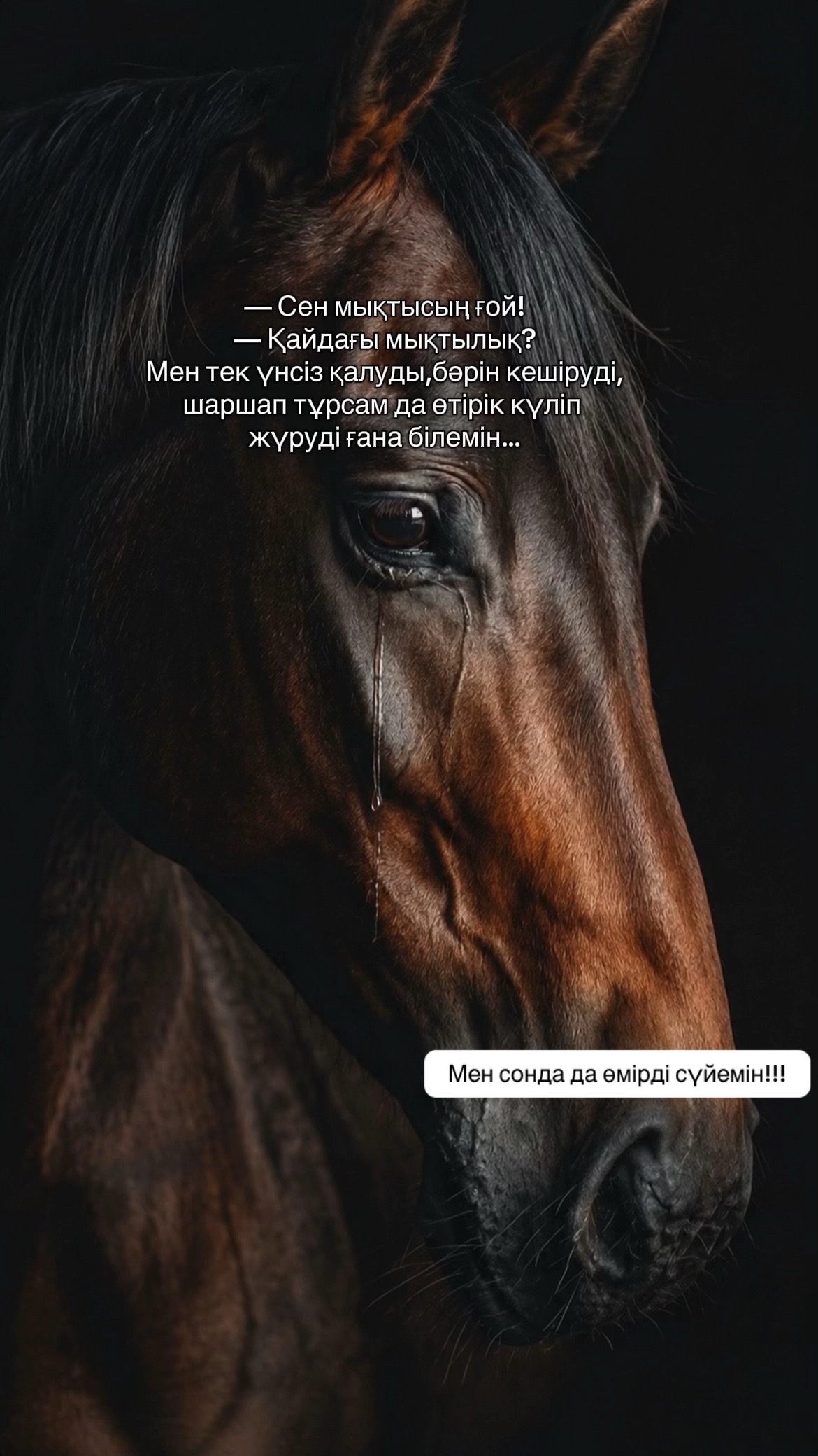 @мен сені сүйем өмір❤