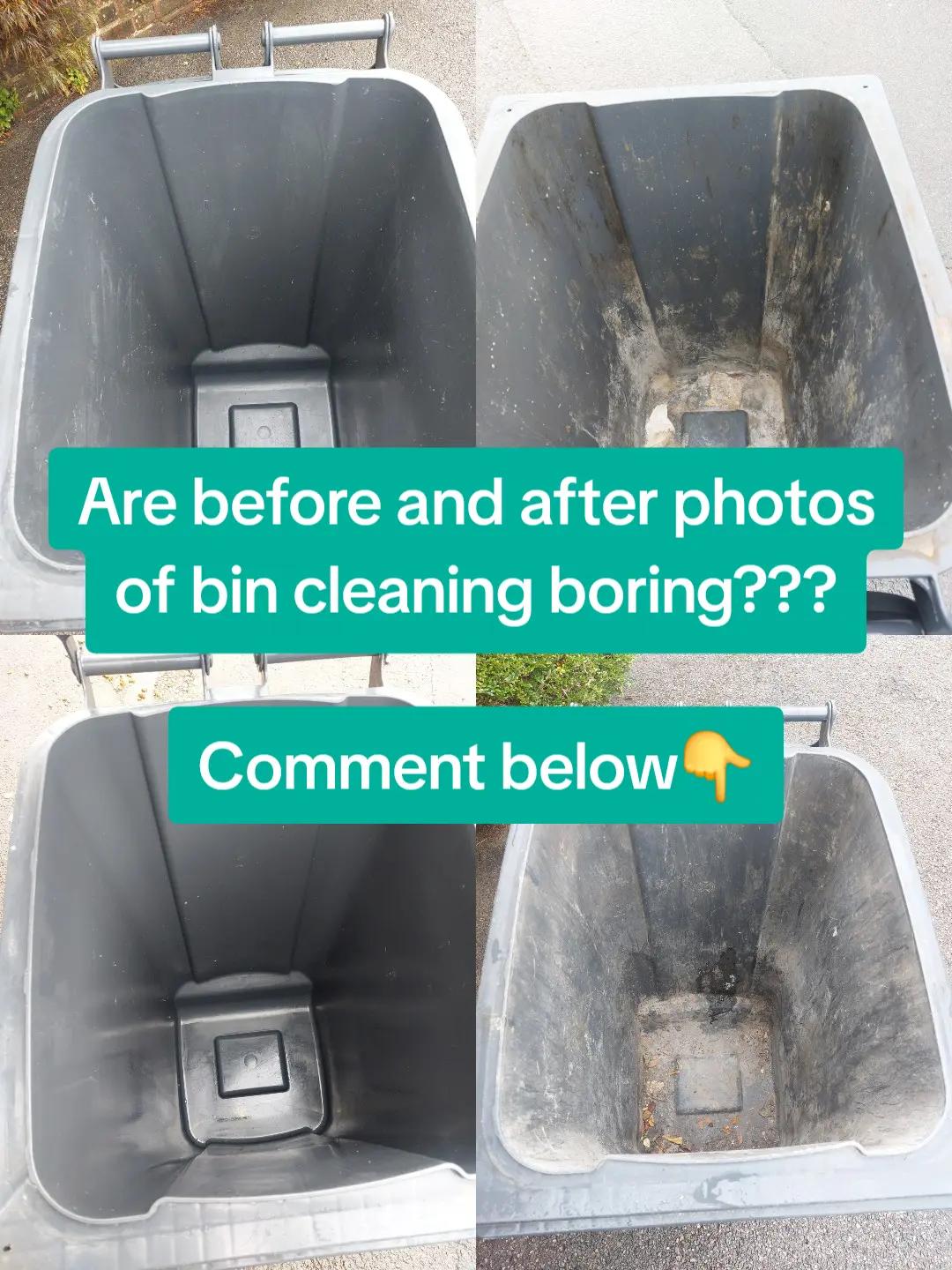 @TheBinWhisperer
