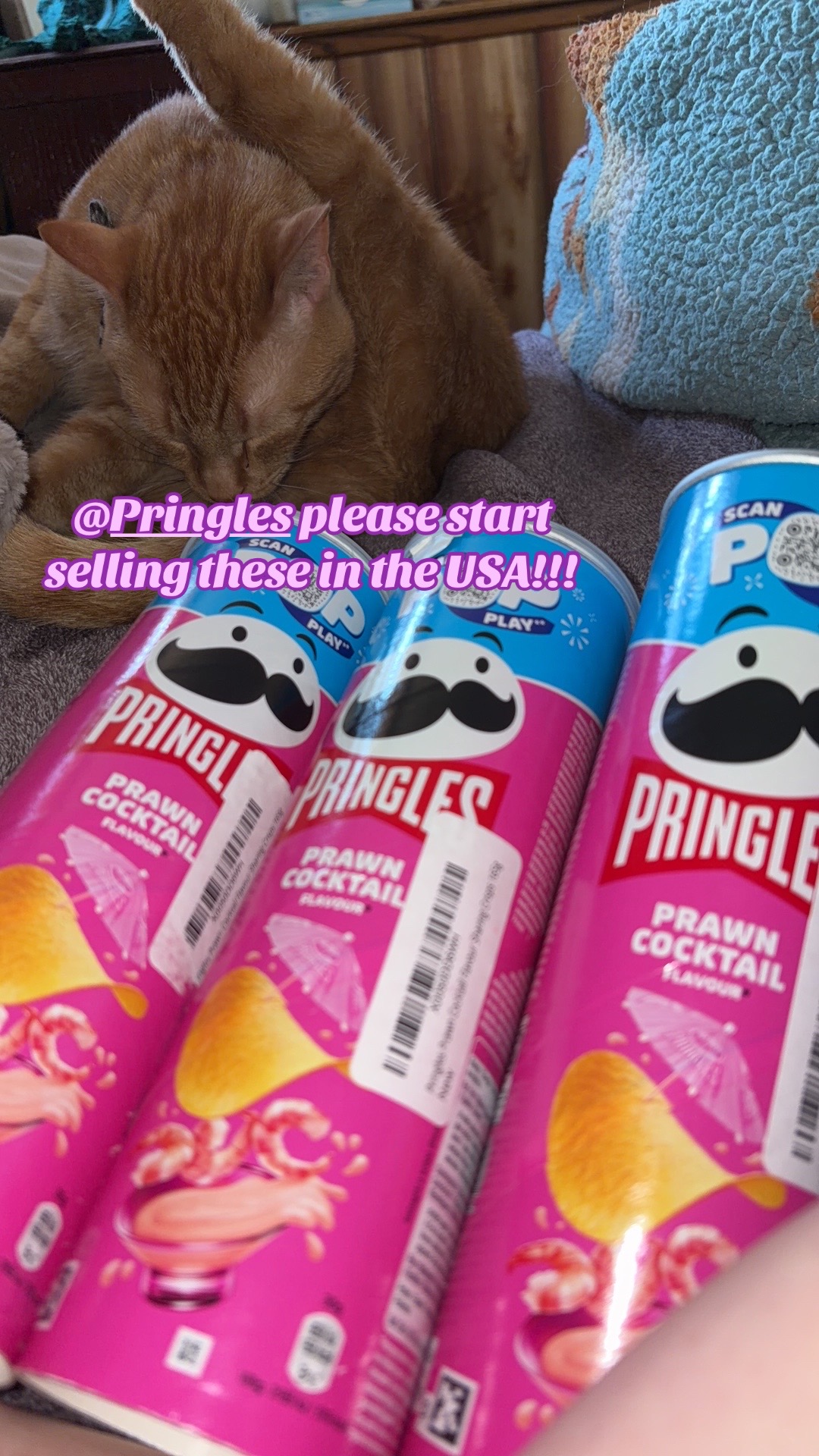 @wiggitywild